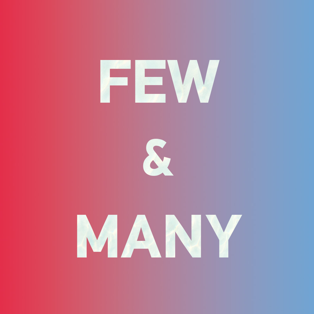 Special: How to say "few" and "many" in Chinese?