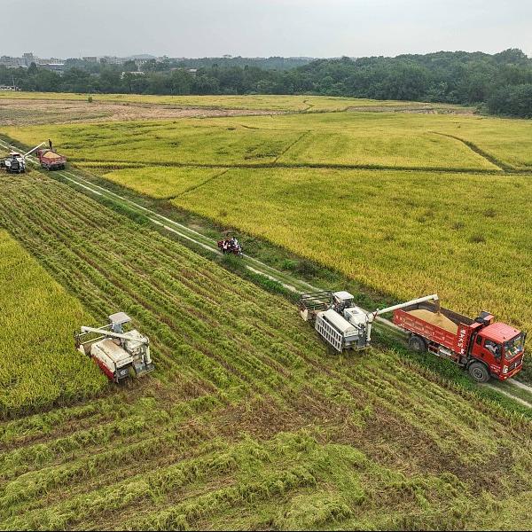 China maps out priorities of rural work for 2024