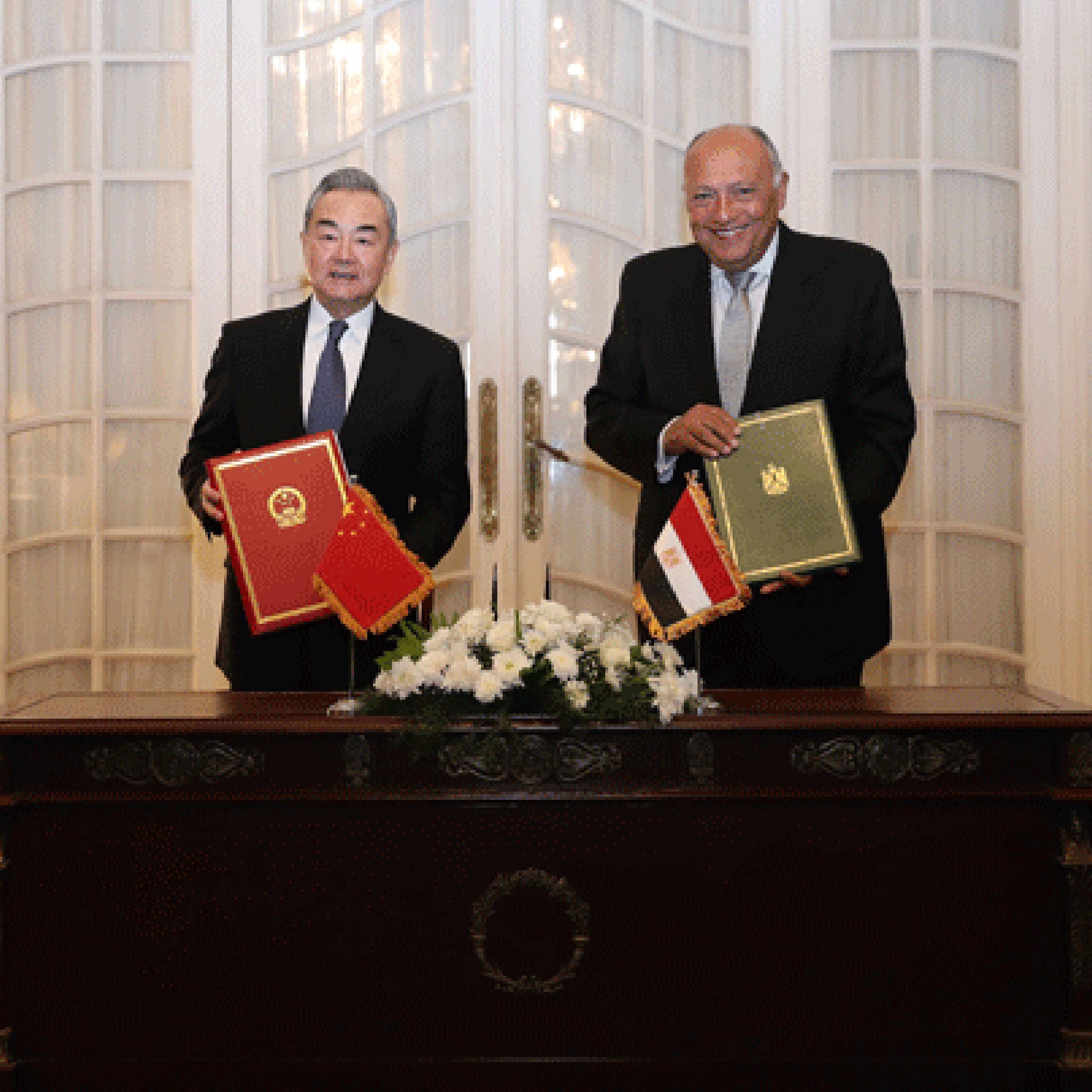 Chinese FM discusses Gaza, bilateral ties in Egypt