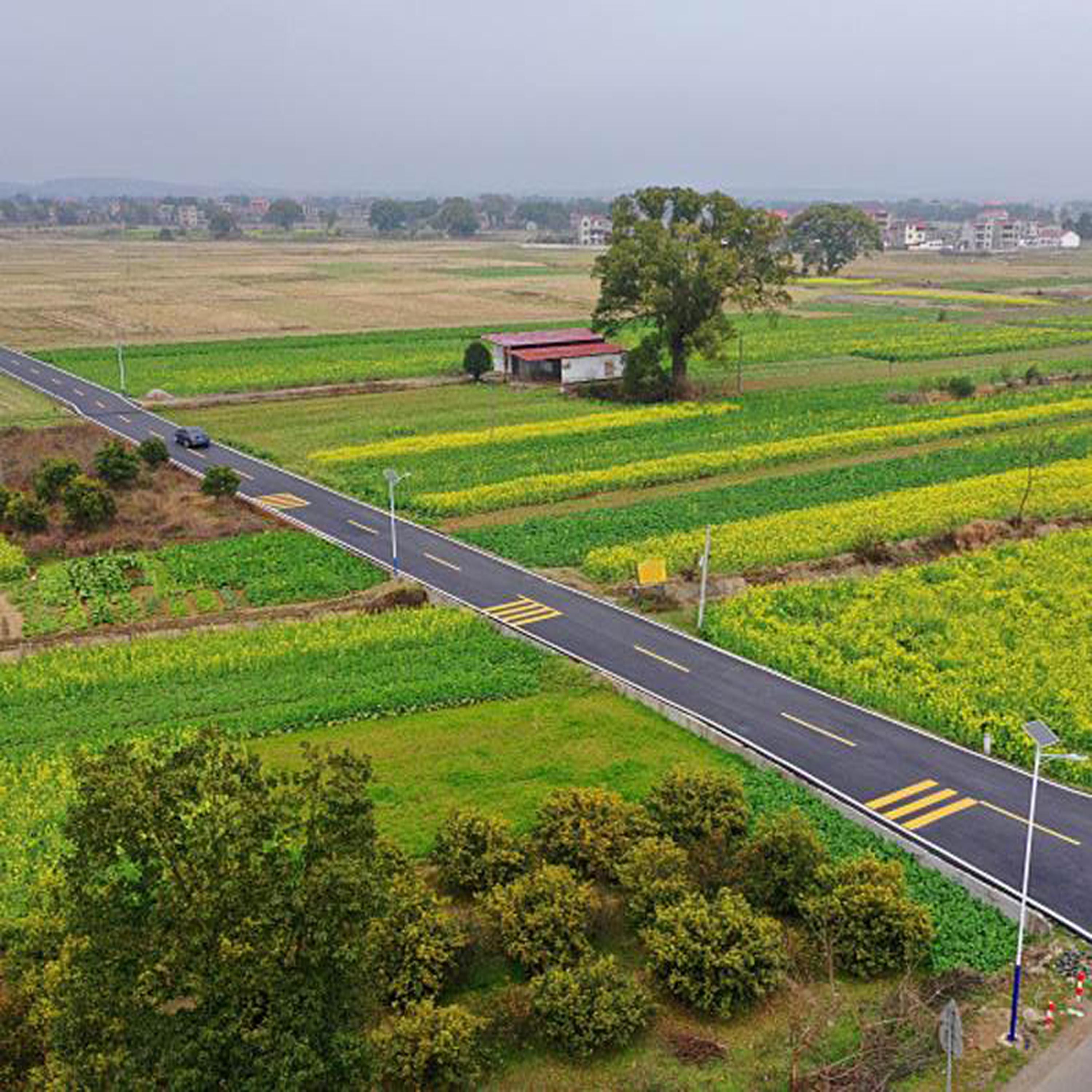 China issues No. 1 central document for 2024
