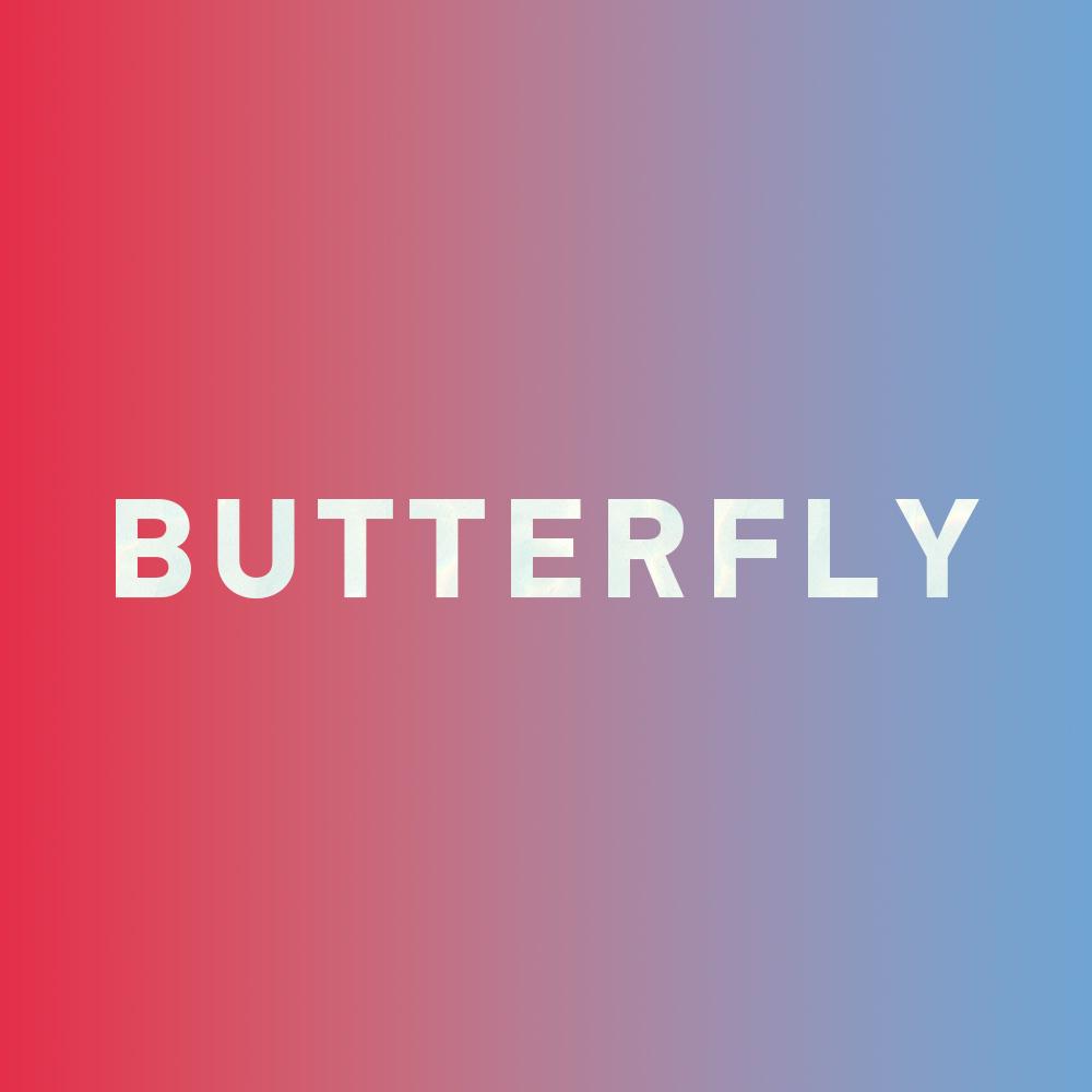 Special: How to say "butterfly" in Chinese?