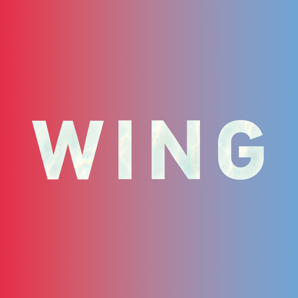 Special: How to say "wing" in Chinese?