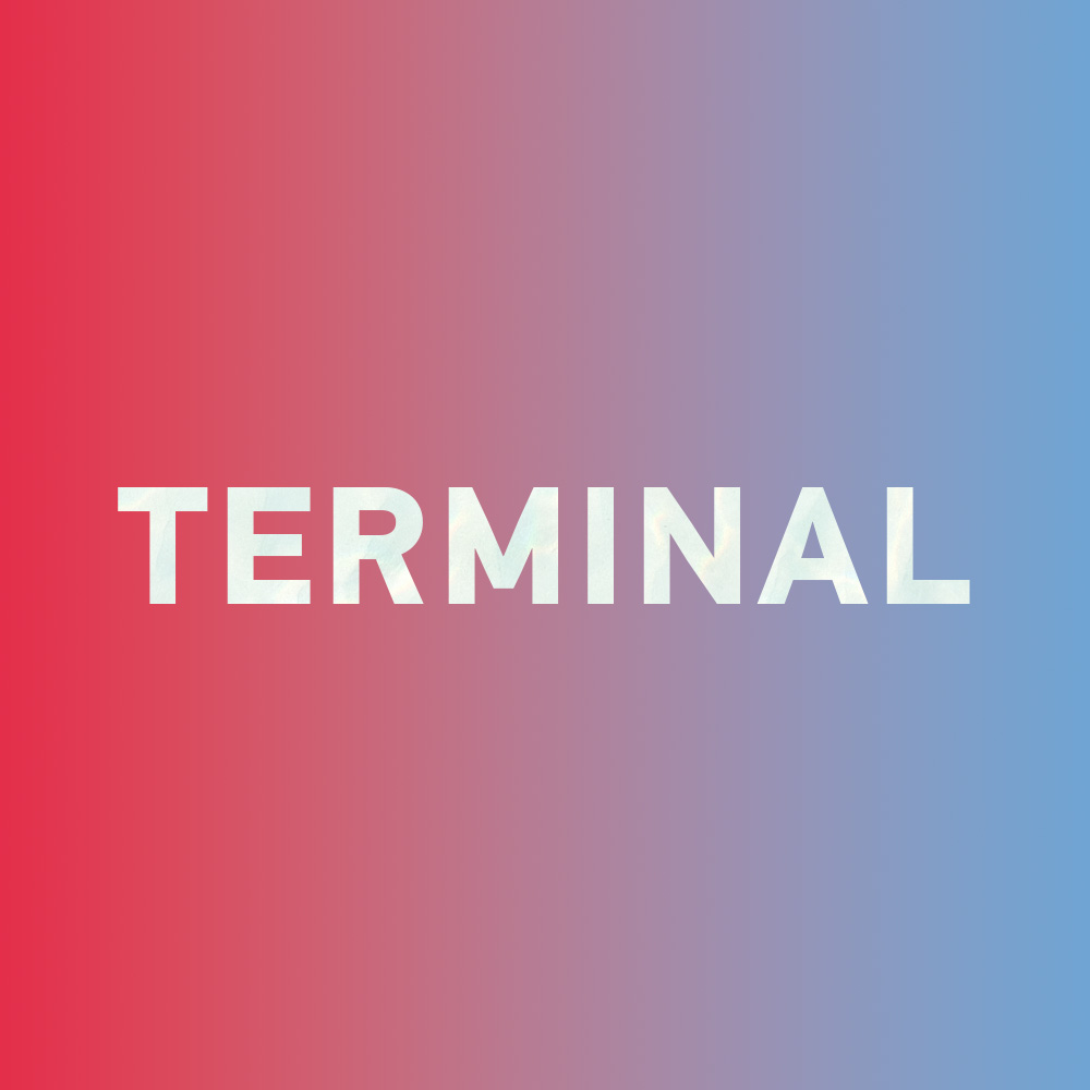 Special: How to say "terminal" in Chinese?