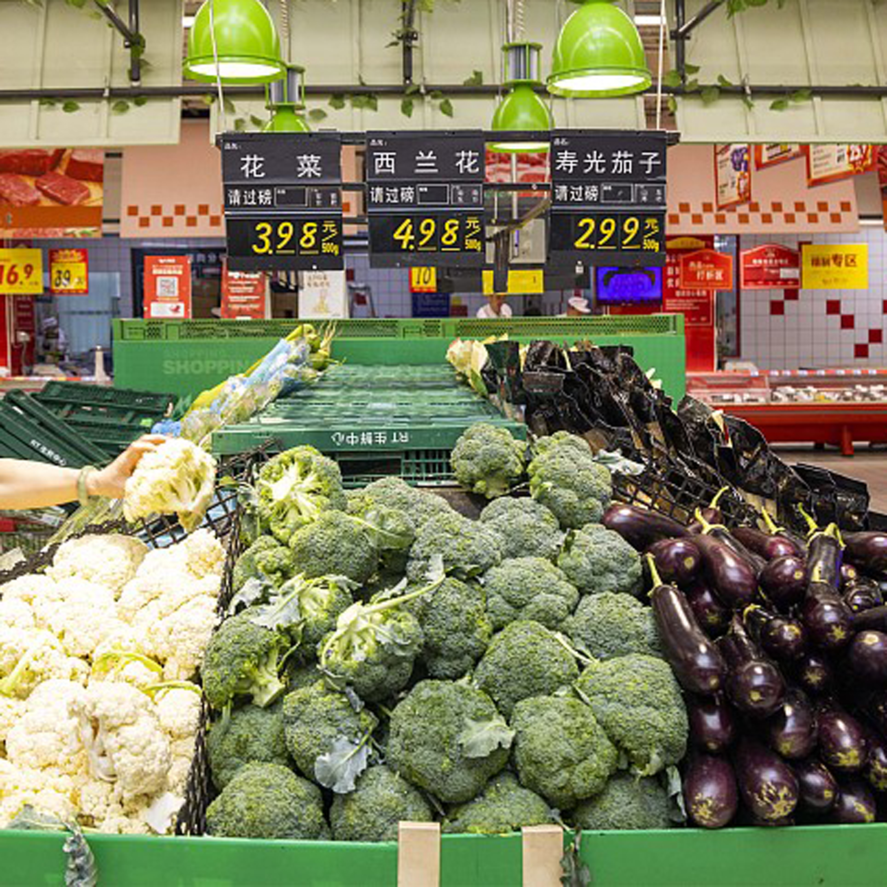 China's CPI up 0.2 pct in June