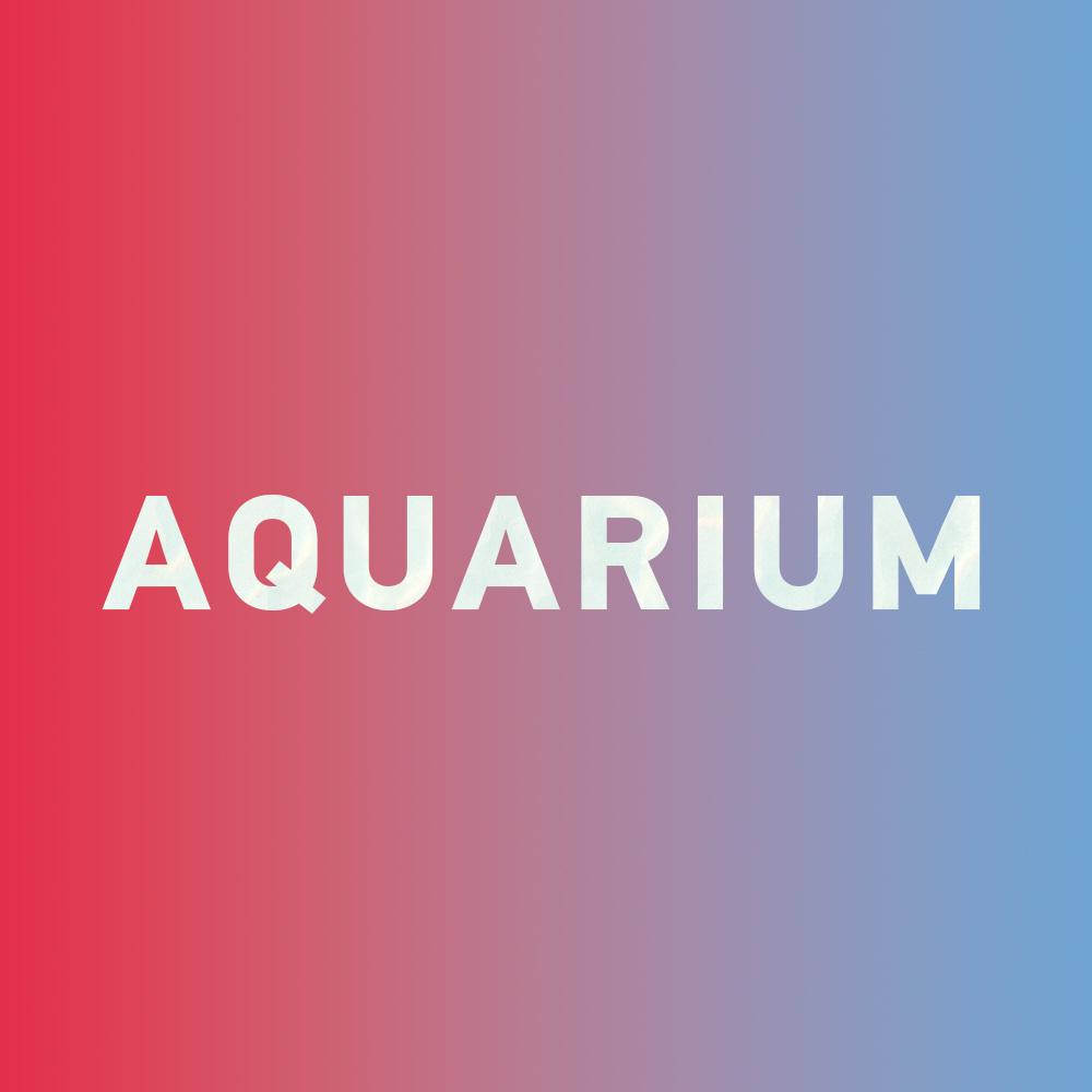 Special: How to say "aquarium 水族馆" in Chinese?