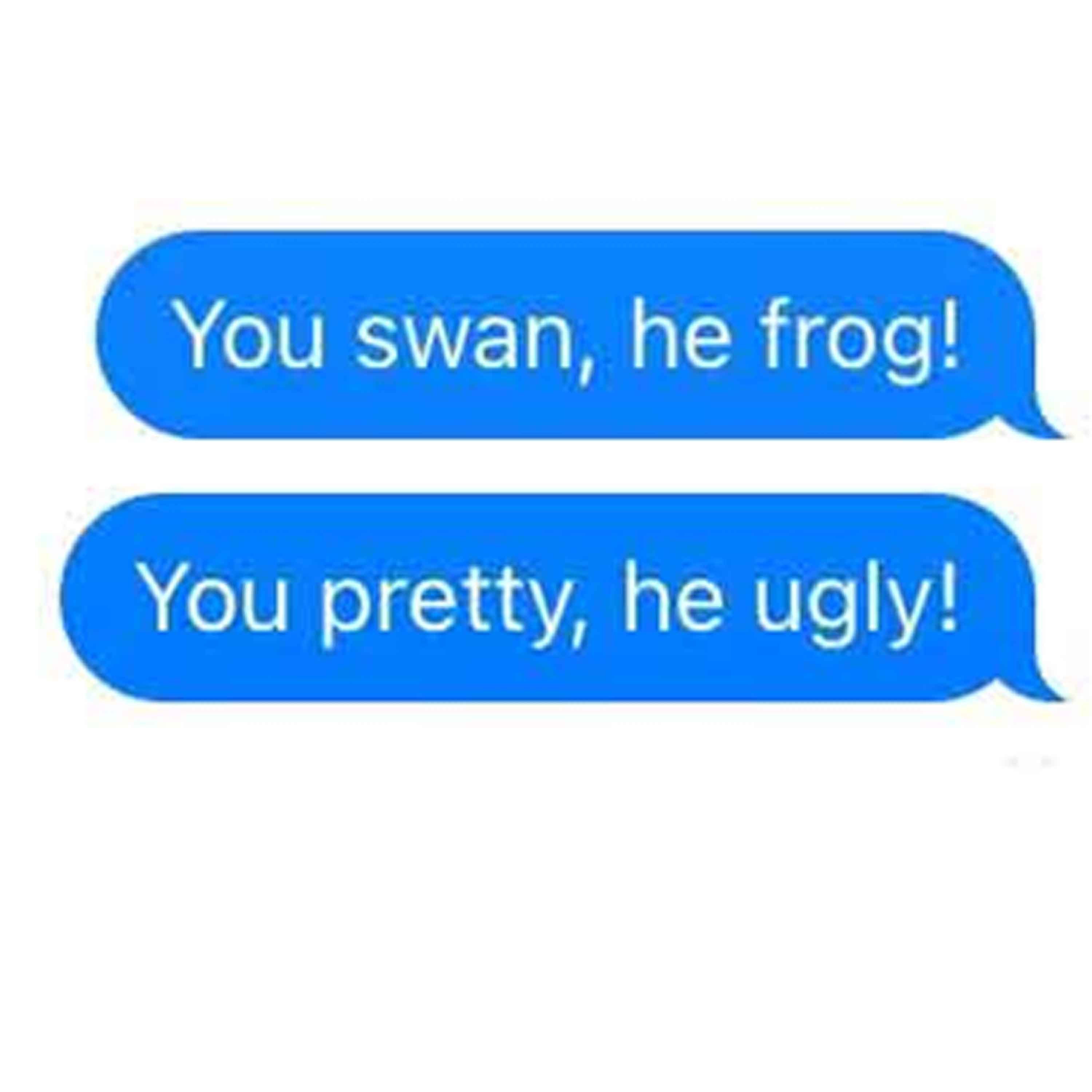 cover of episode 'You swan, he frog' is Chinglish at its best