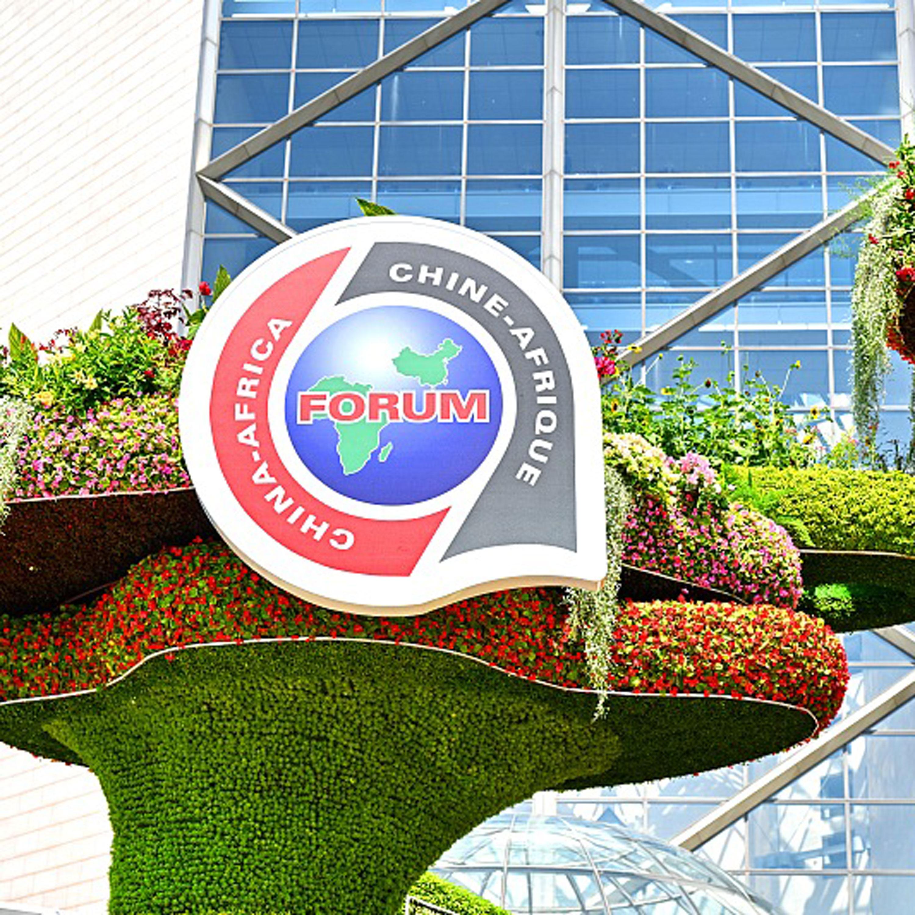 NDRC issues report on China-Africa BRI cooperation