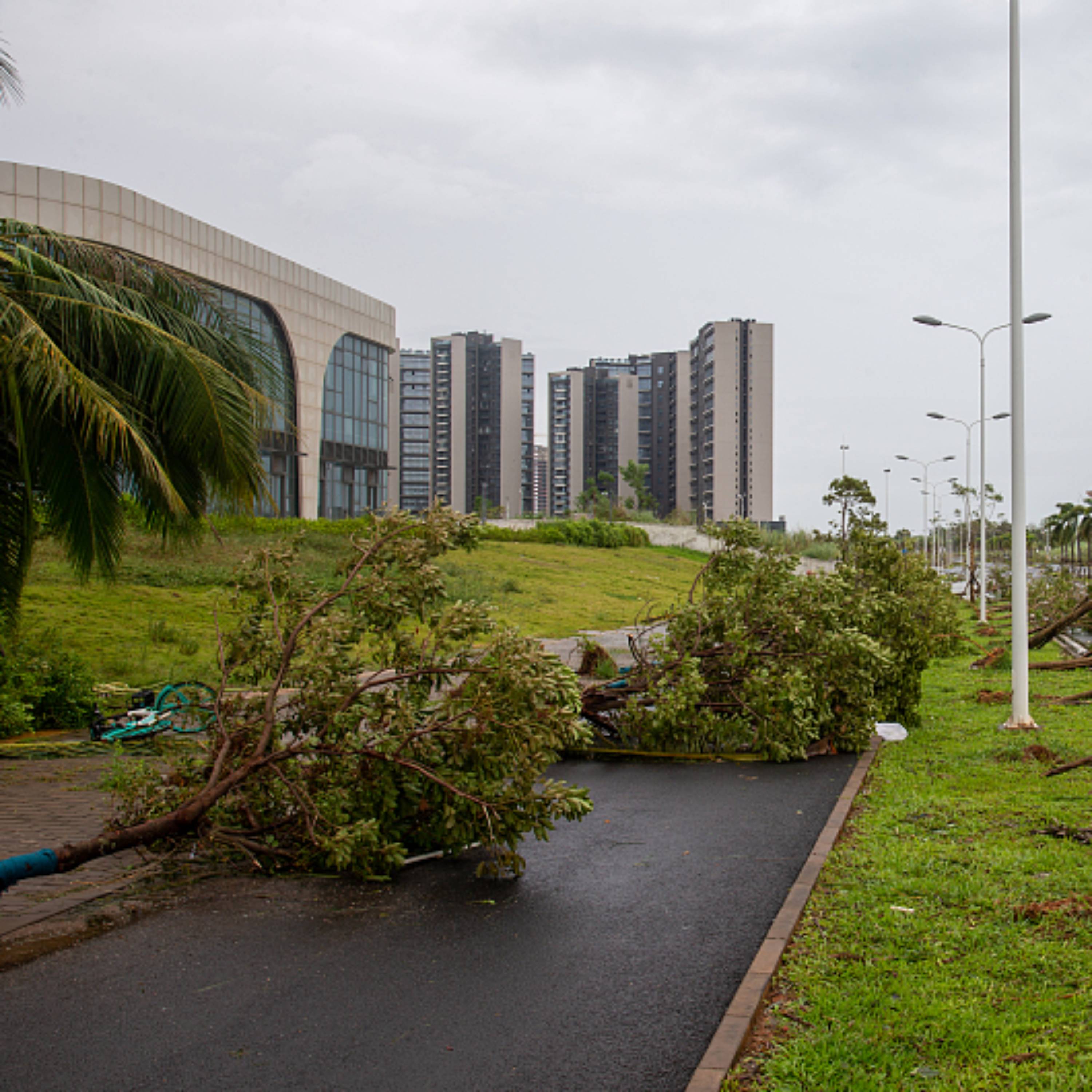 Super Typhoon Yagi strikes south China, leaving 4 dead, 95 injured