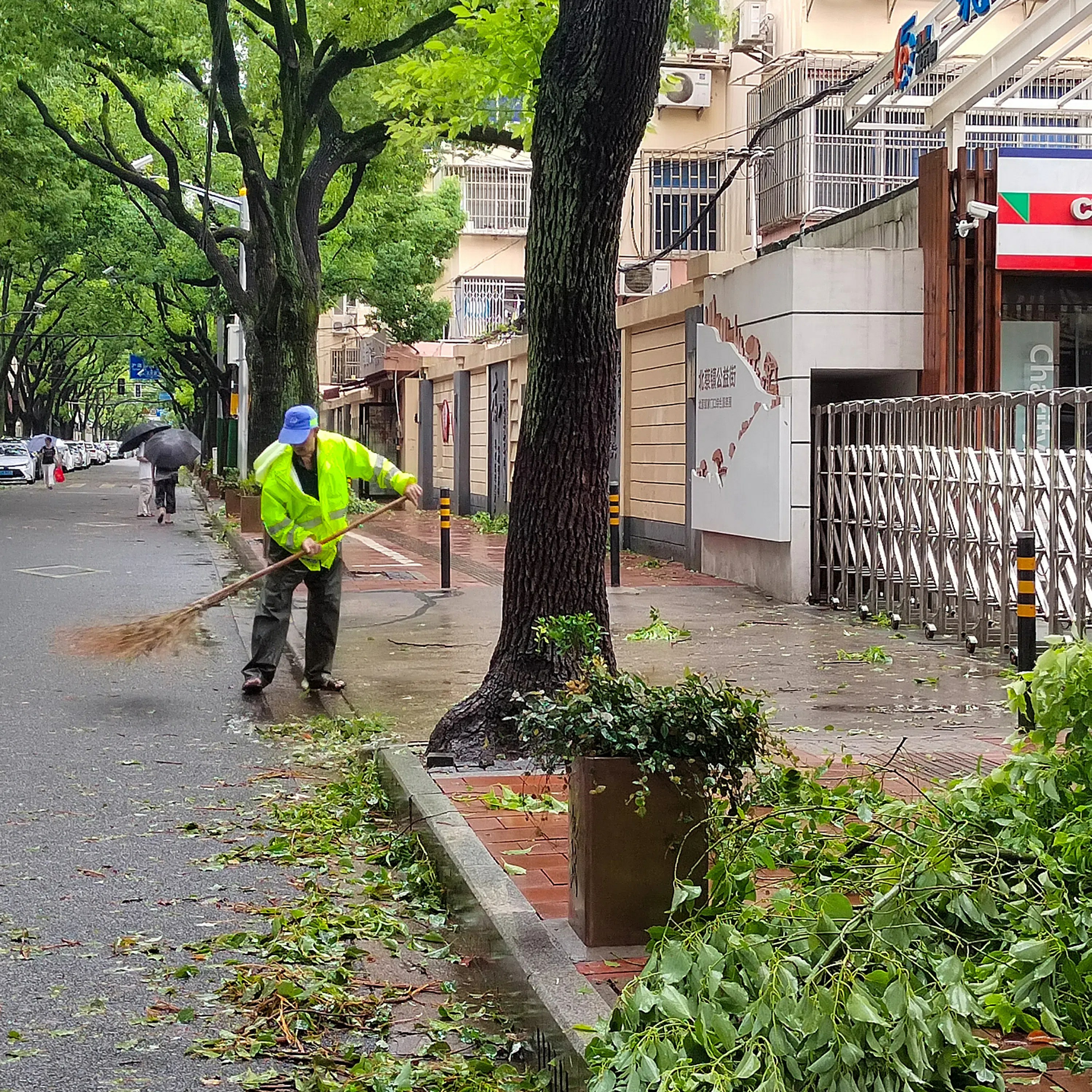 Shanghai begins recovery from Typhoon Bebinca