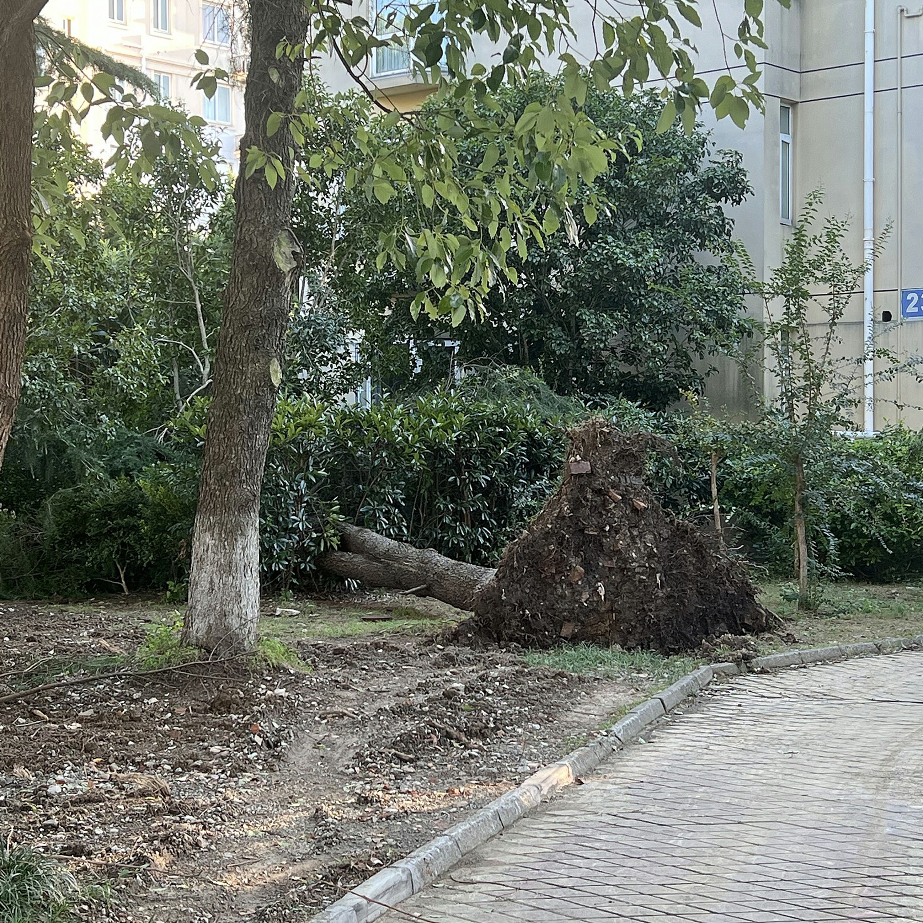 Typhoon Bebinca continues hitting east China