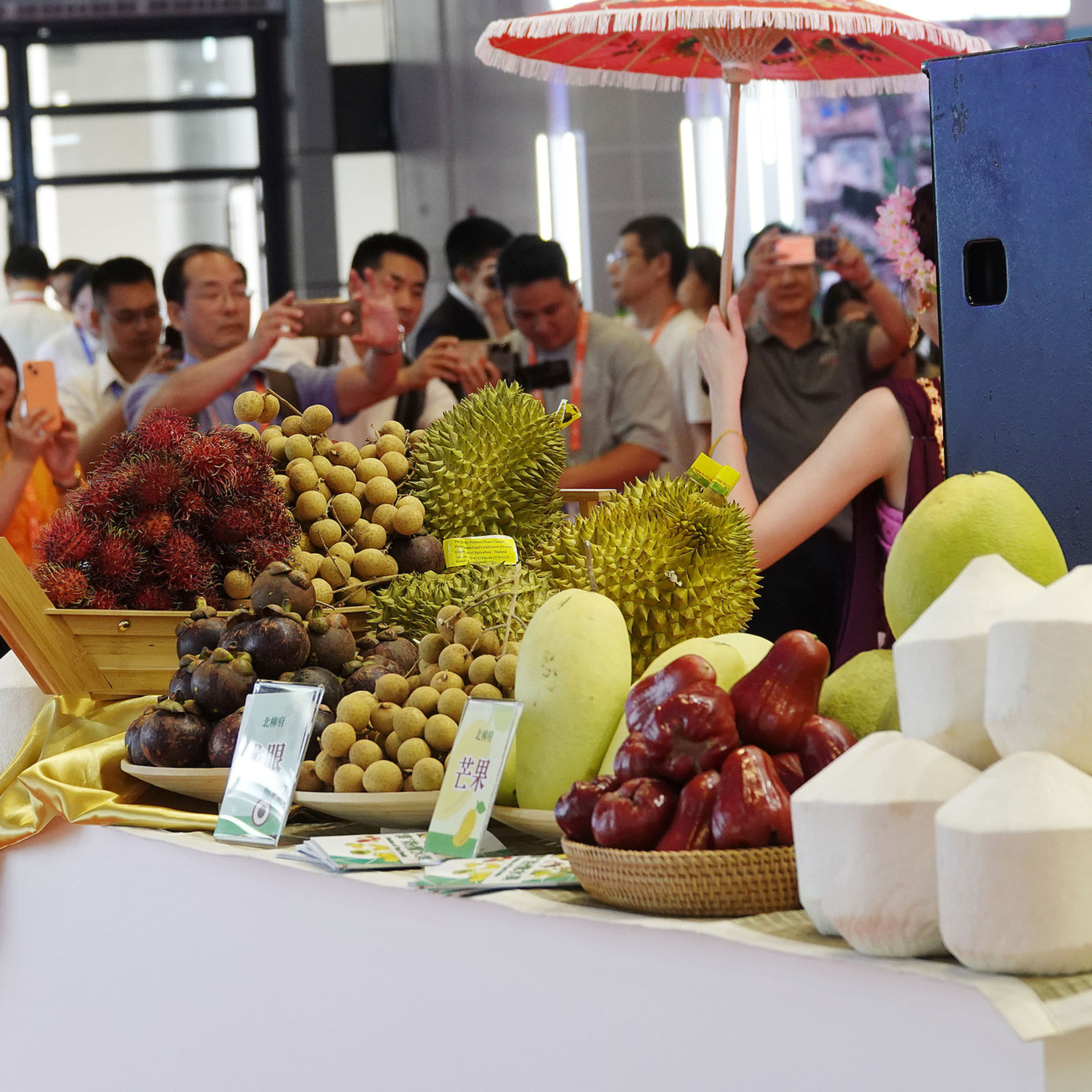 21st China-ASEAN Expo kicks off