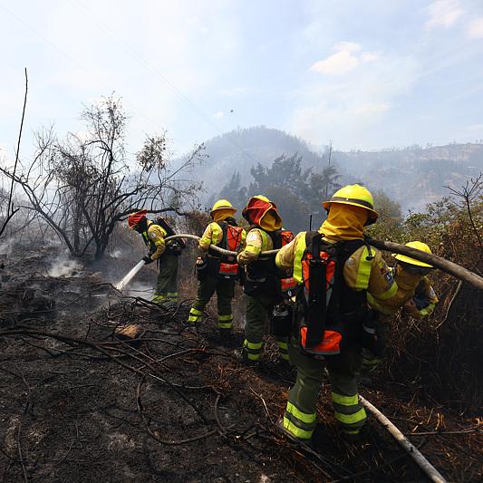 State of emergency declared in Ecuadorian capital due to wildfire