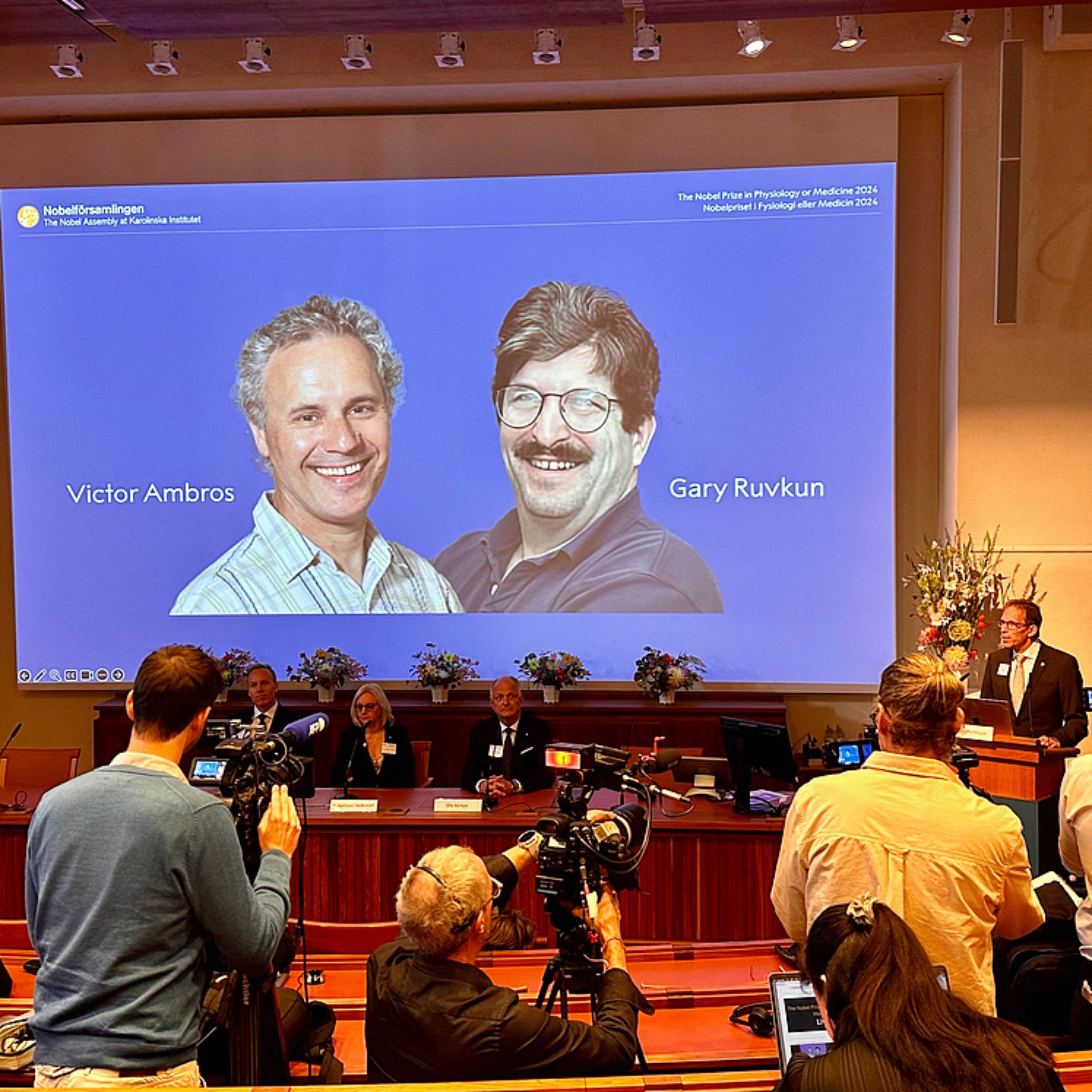 US biologists win Nobel Prize in Medicine for microRNA discovery