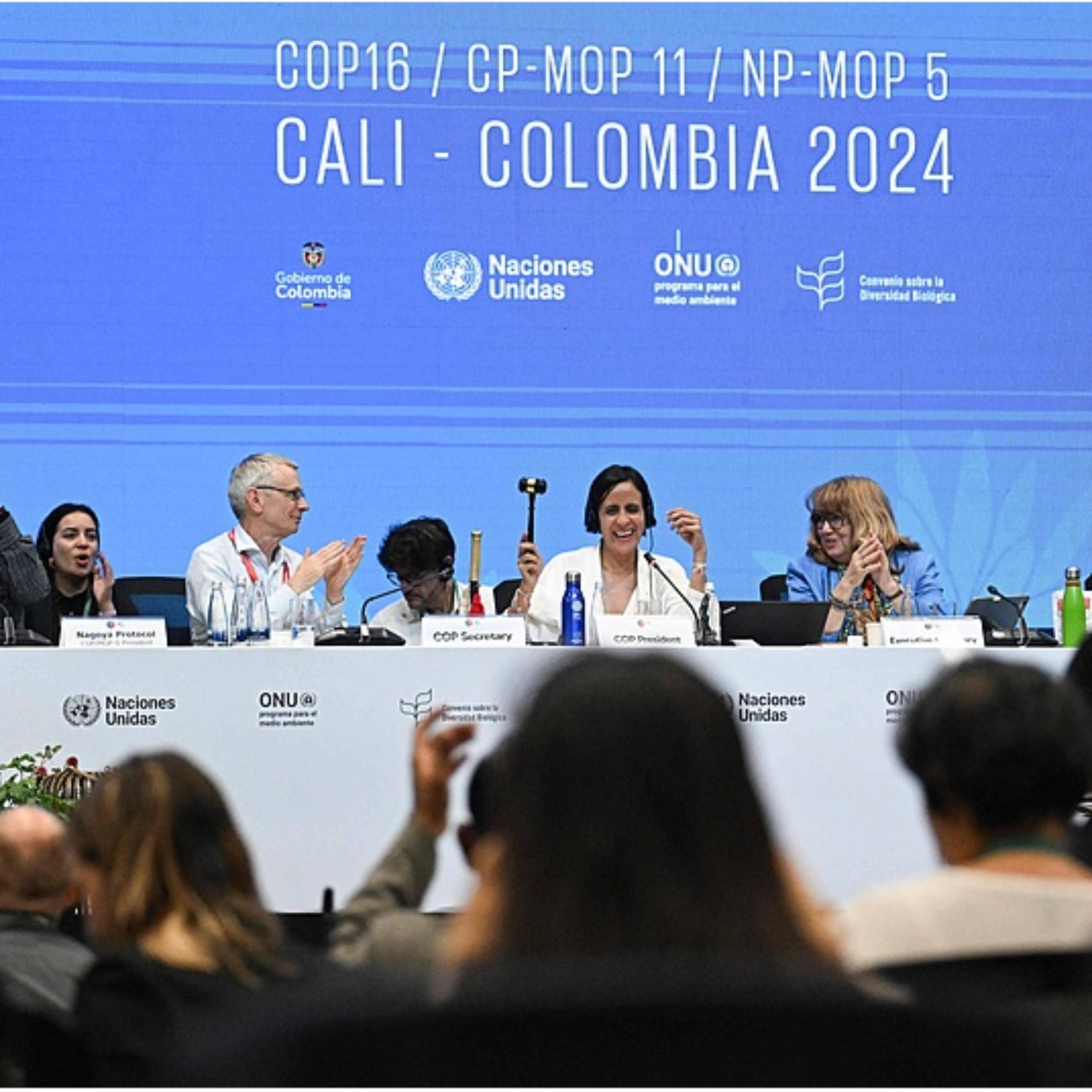 UN biodiversity conference wraps up in Cali, Colombia