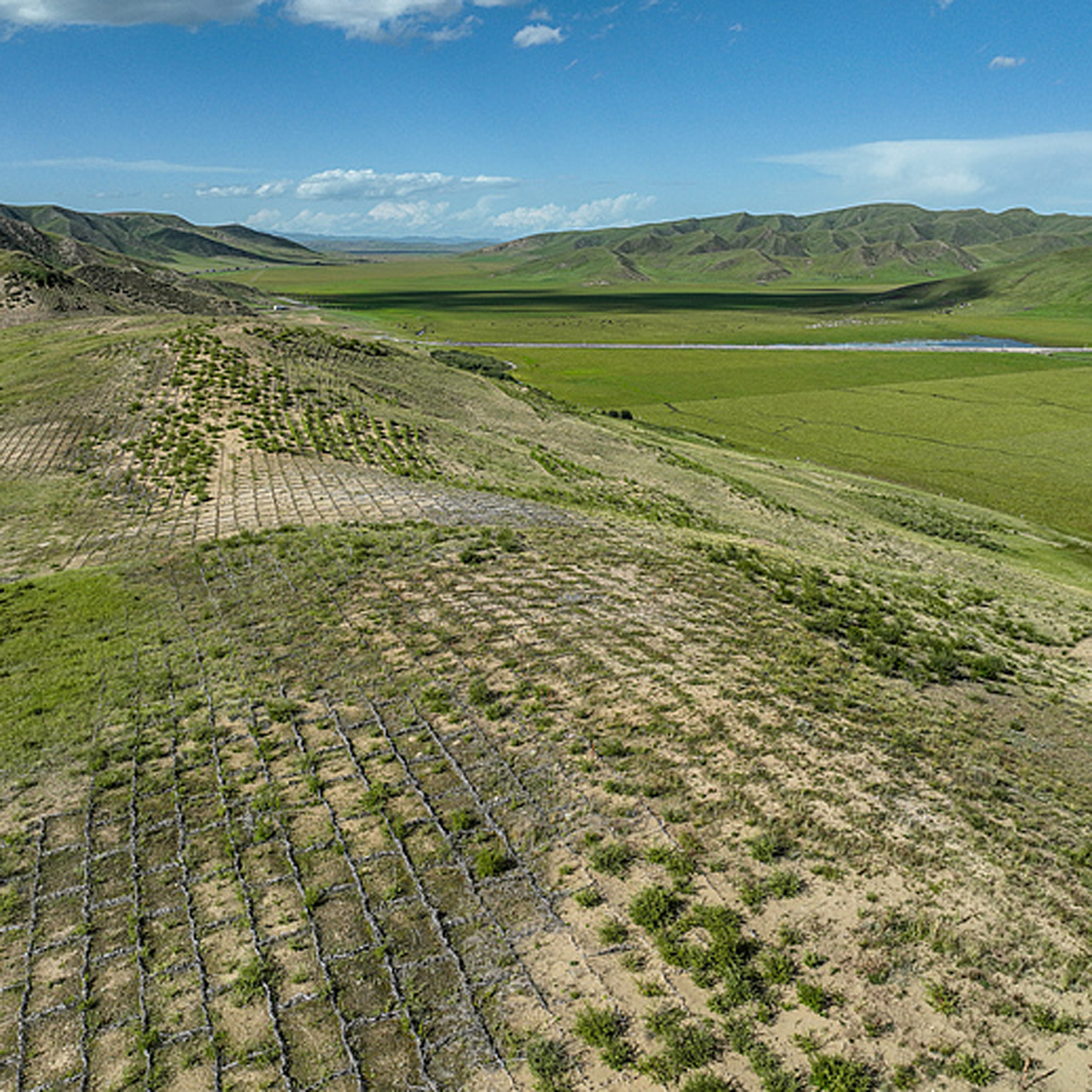 China's desertified land area shrinks by 4.3 million hectares since 2012