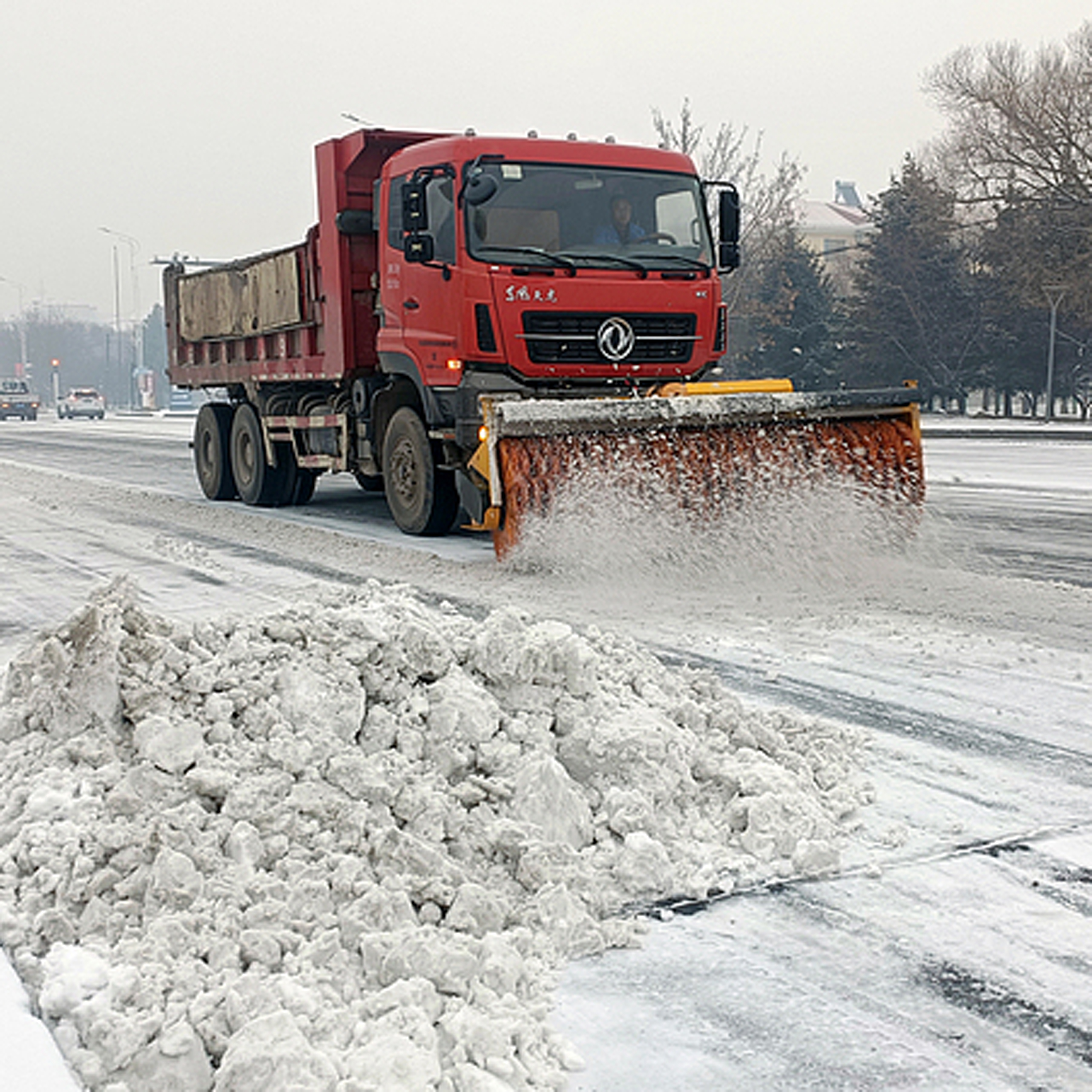 China's Heilongjiang issues red alert for blizzards