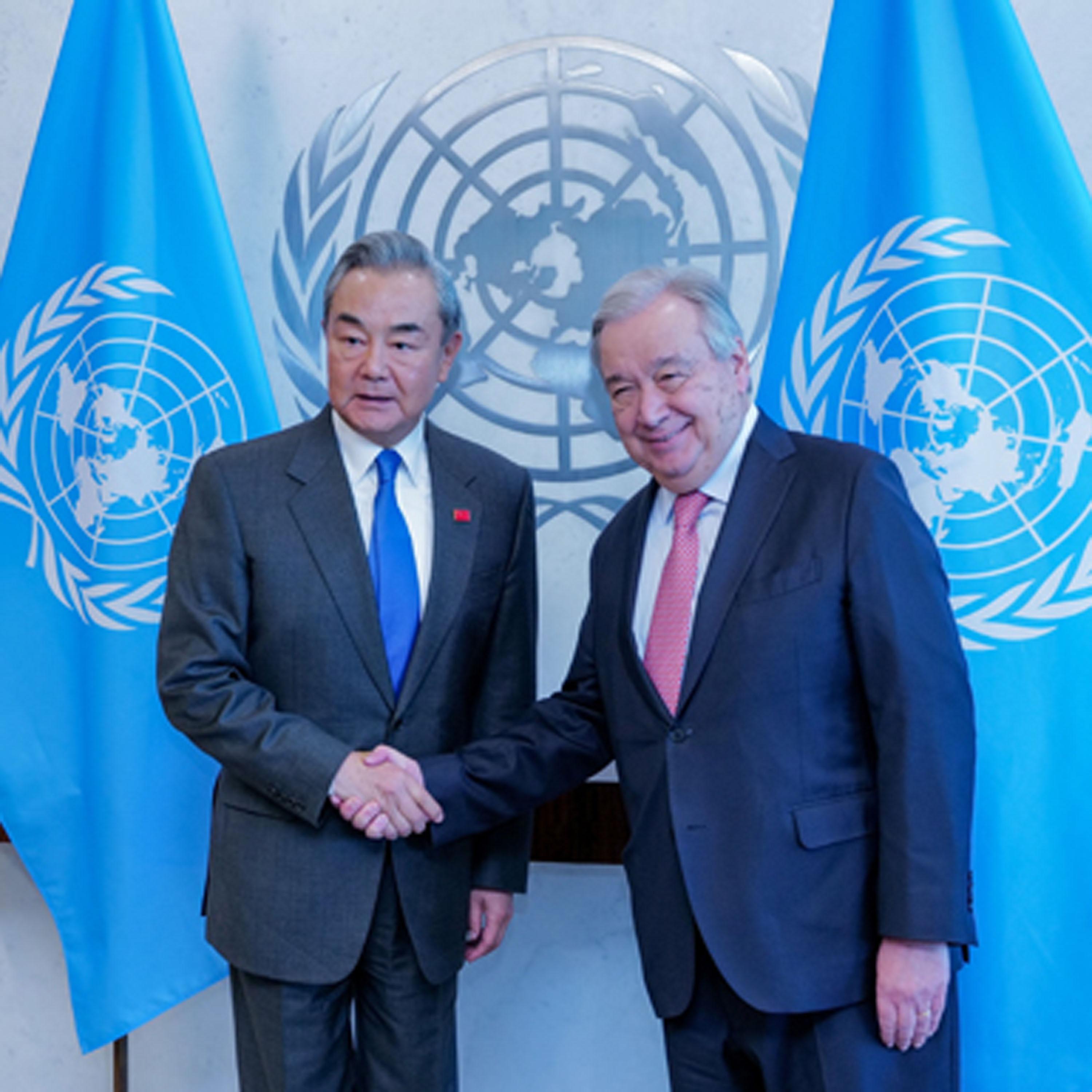 China firmly supports UN's central role: FM