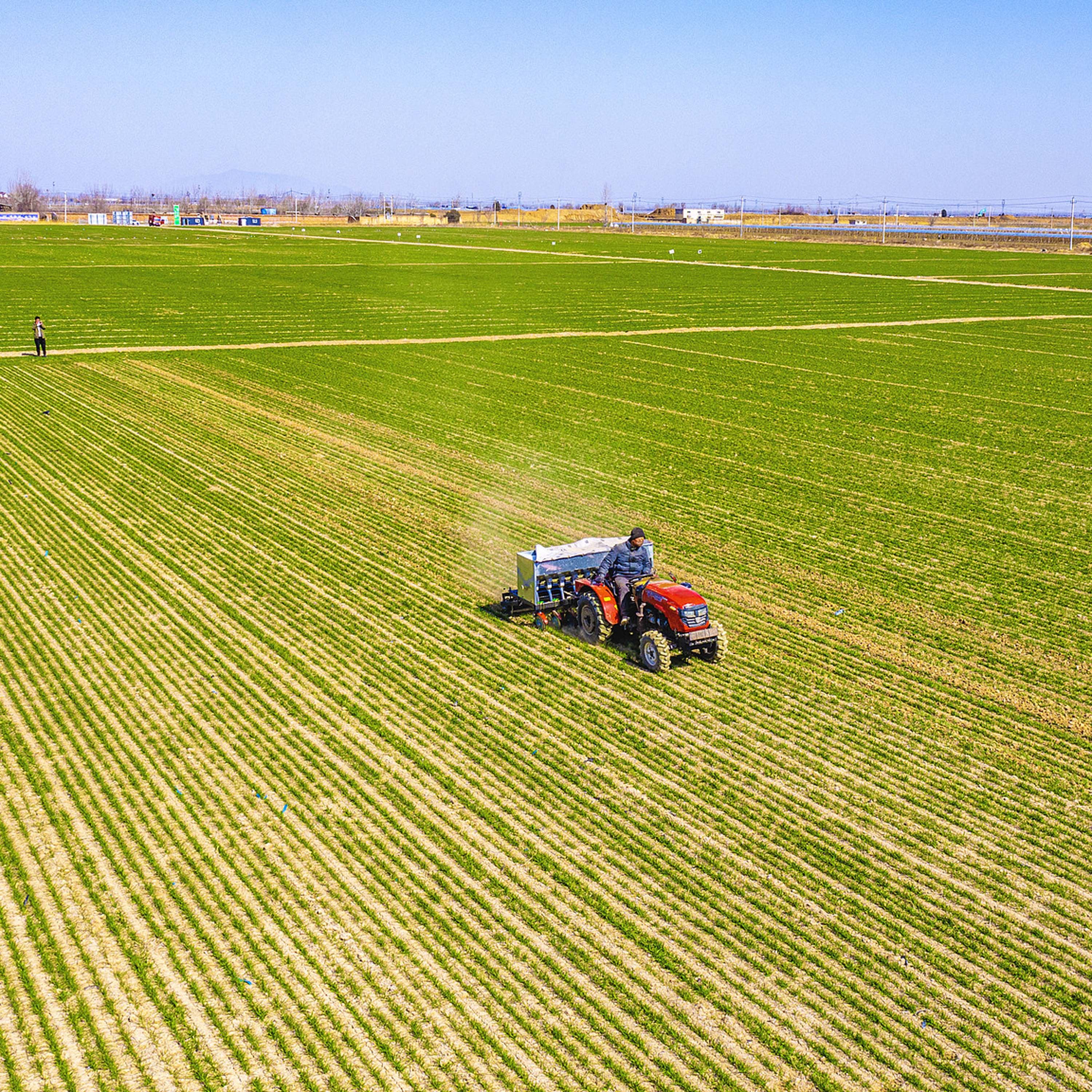 China outlines key tasks to deepen rural reform, advance rural revitalization