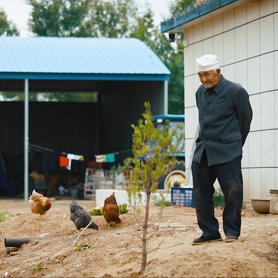 The old man and  the desert
