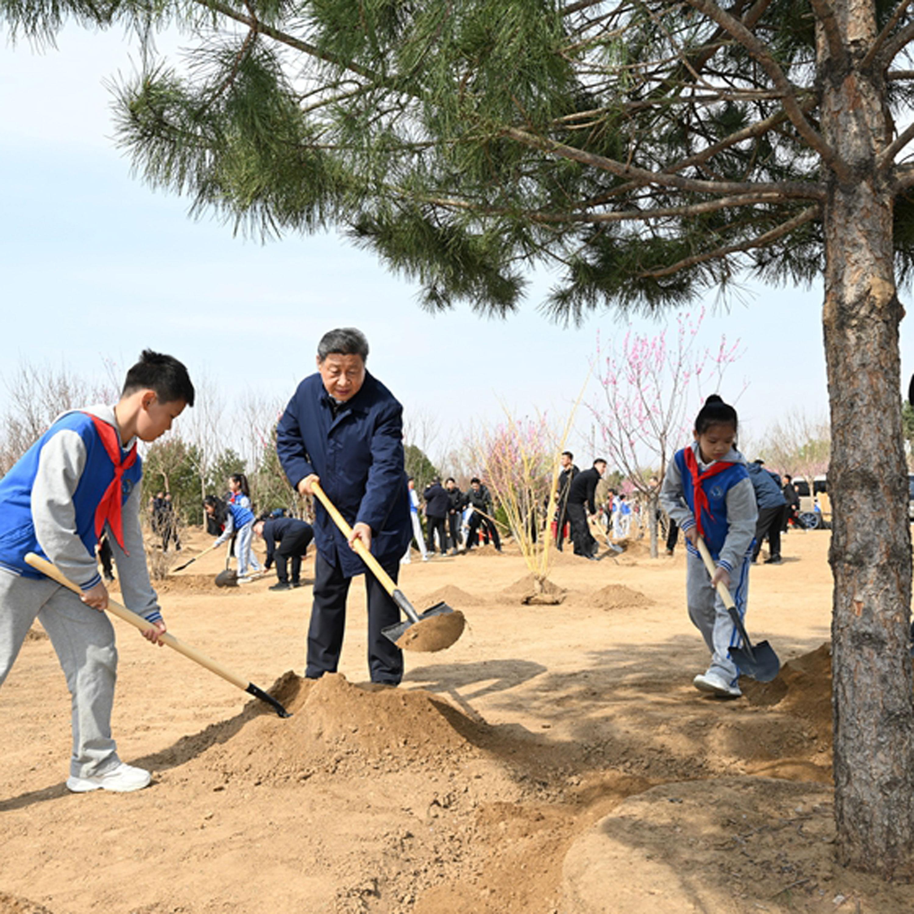 President Xi calls for efforts to build greener,Beautiful China