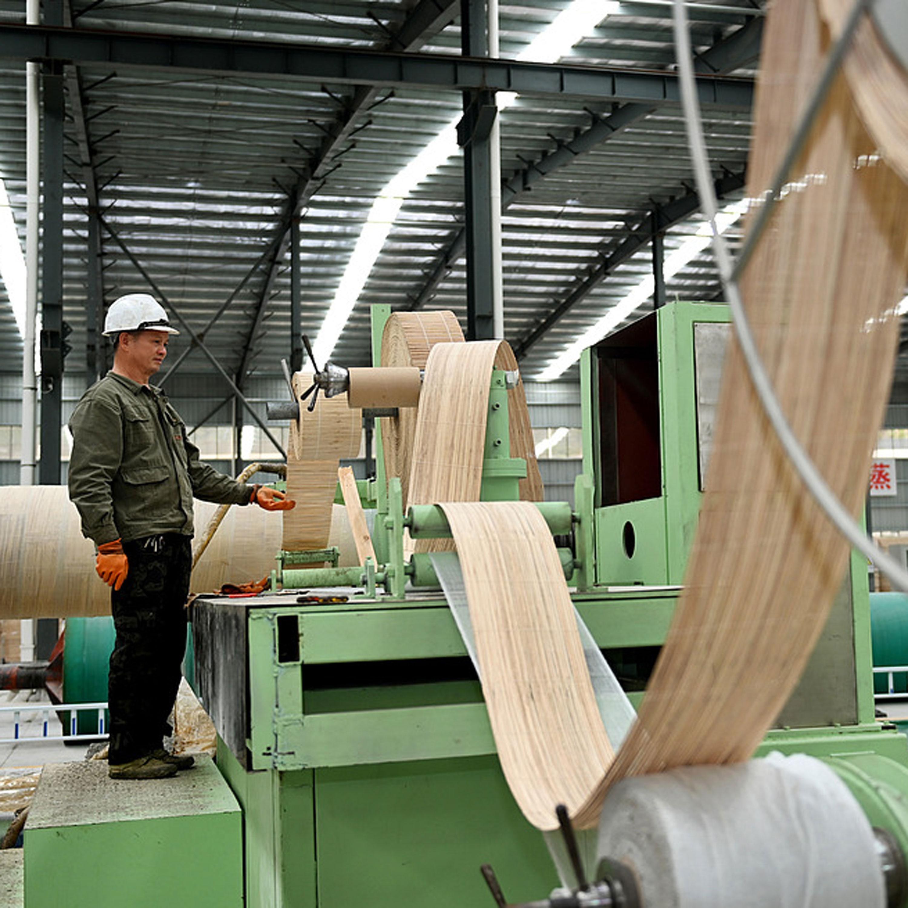 Can bamboo be the plastic killer we've been waiting for?