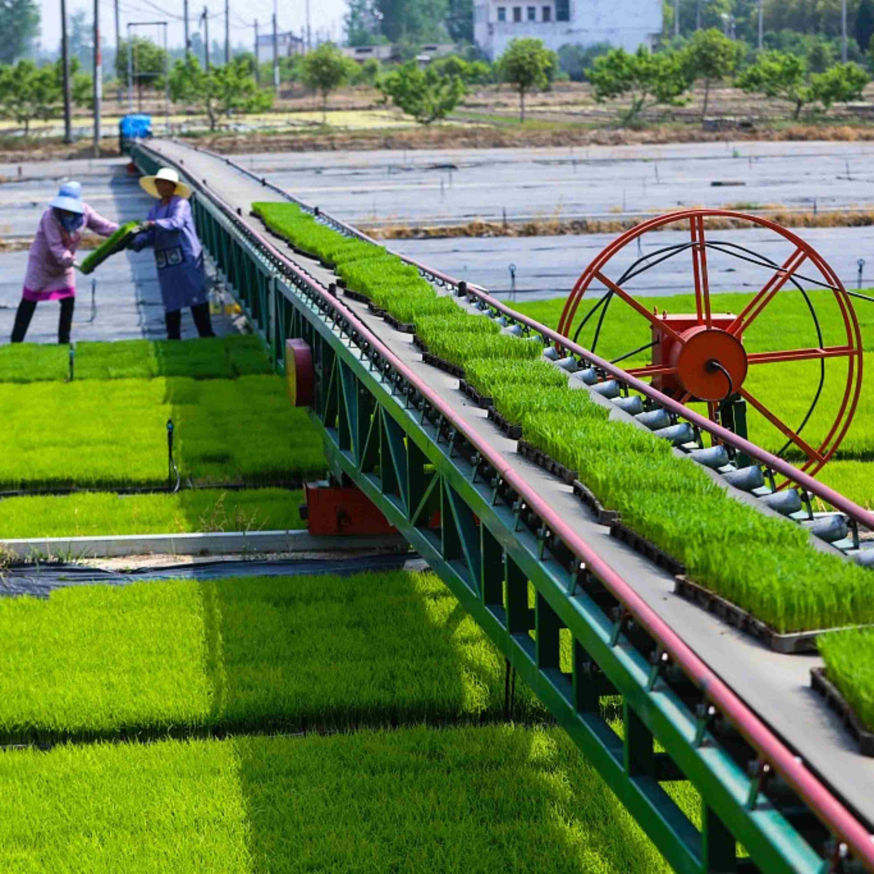 Report highlights China's agricultural productivity breakthrough in next decade