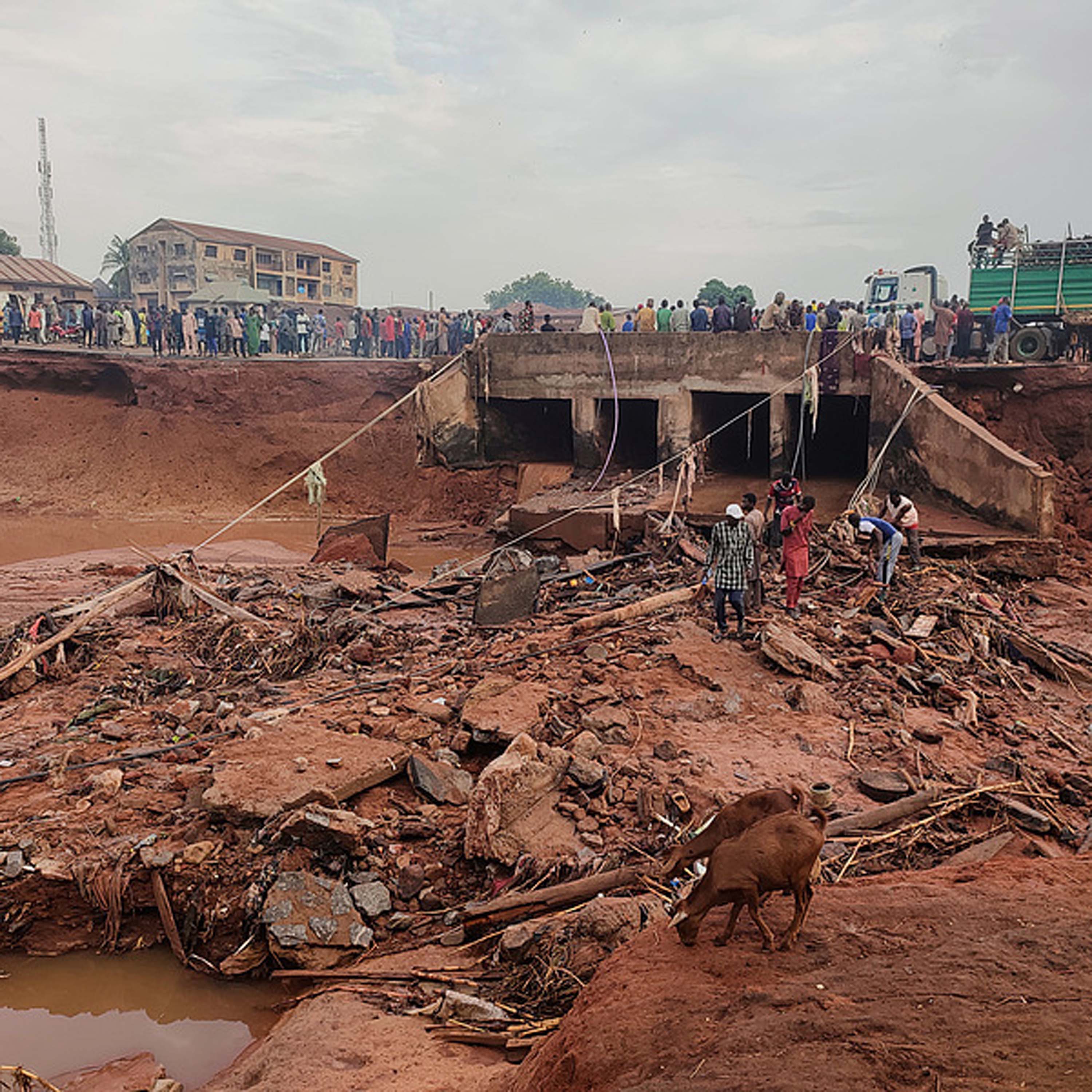 Death toll from Nigerian floods rises to 100