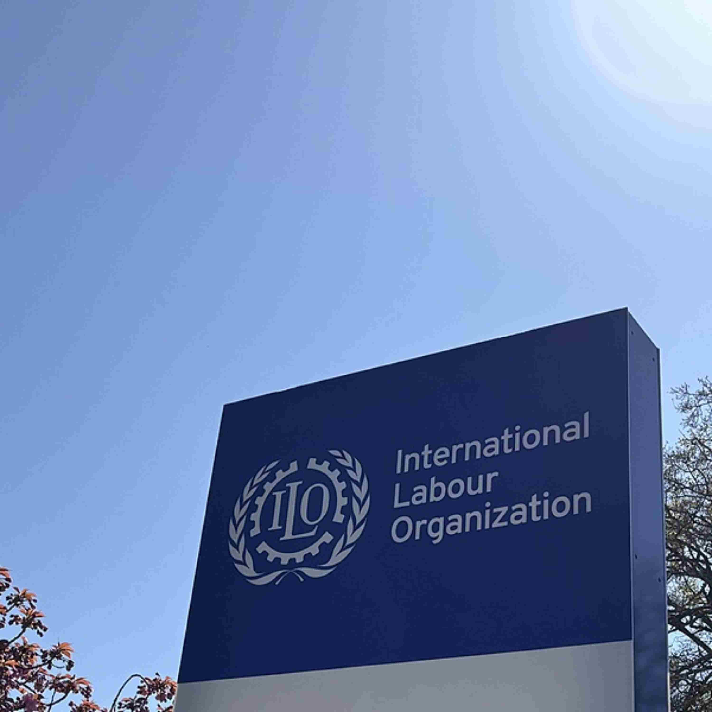 Trade tensions weigh on labour markets: ILO chief