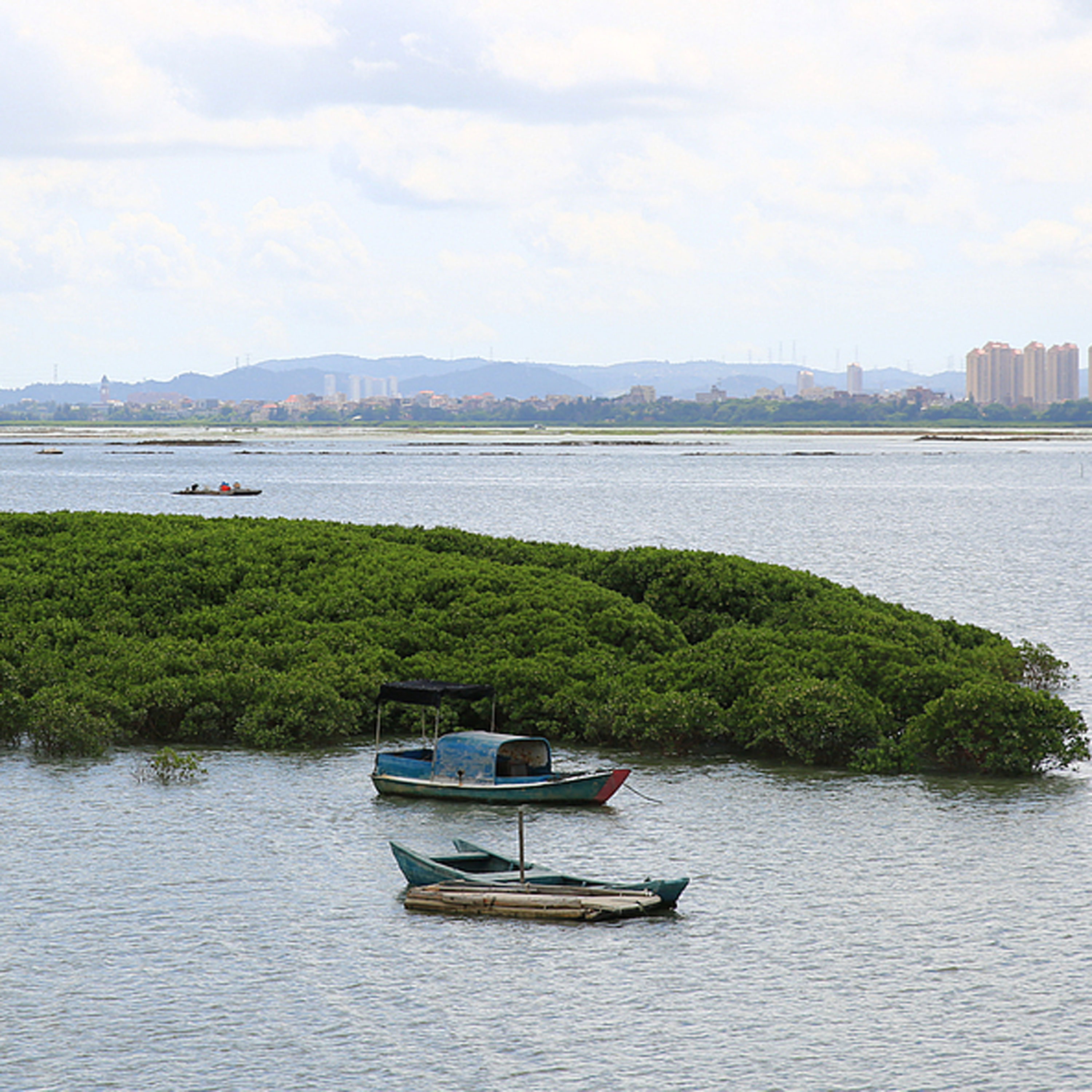 How wetlands are shaping China’s path to resilience?