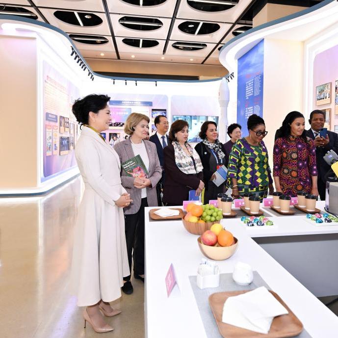 Peng Liyuan visits exhibition on digital, intelligent empowerment for women, girls