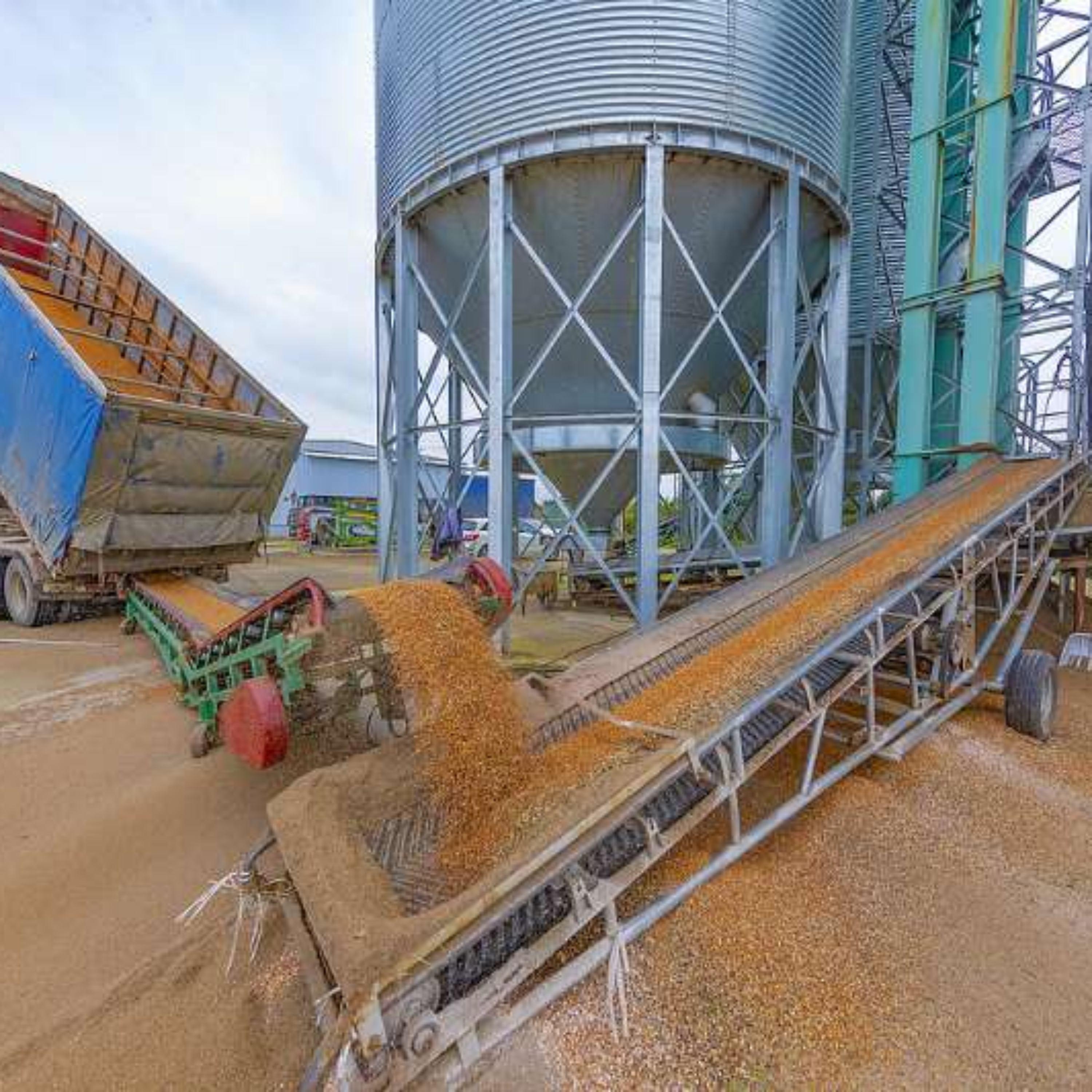 China speeding up efforts to secure autumn grain harvest