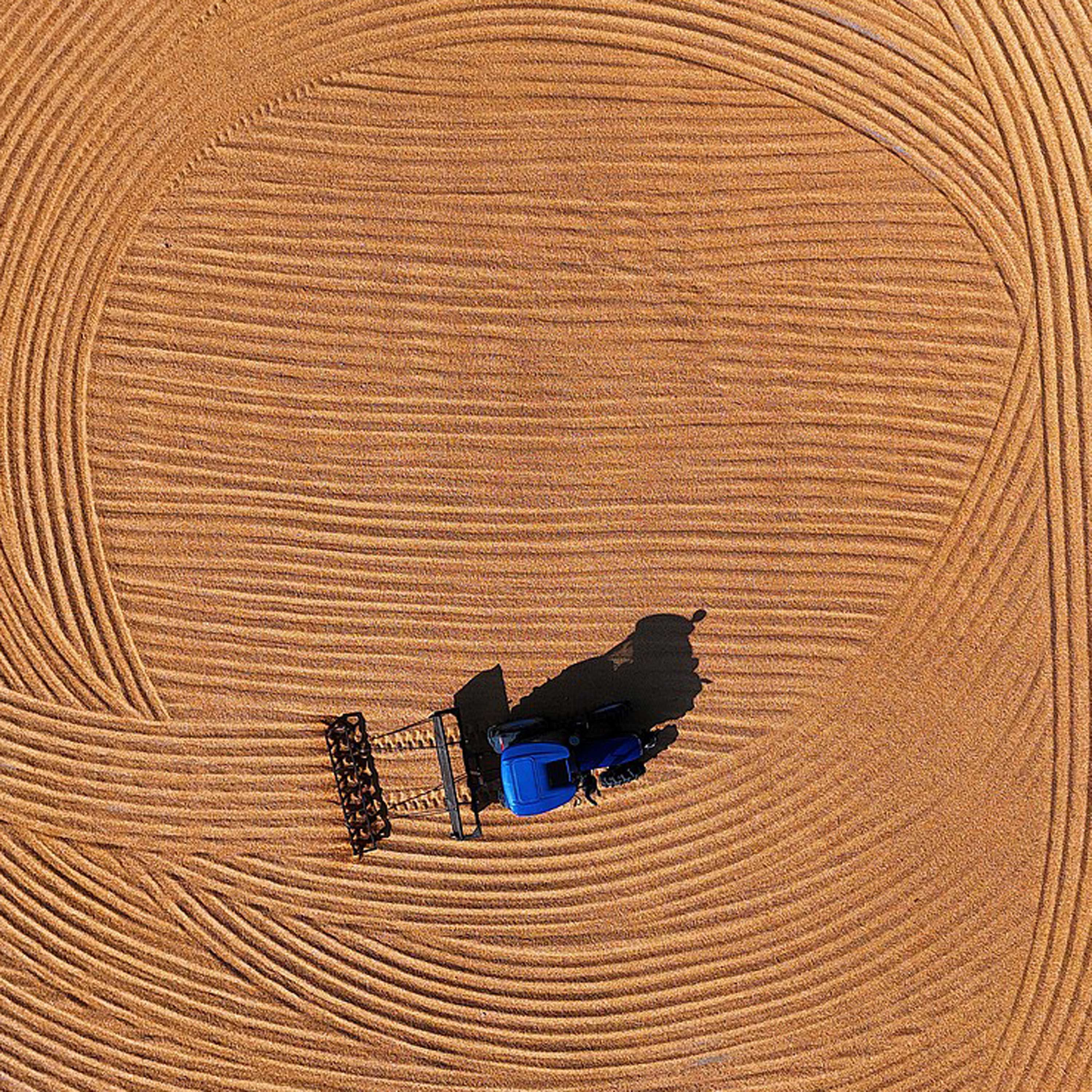 How can China build a resilient and low-carbon agrifood system?