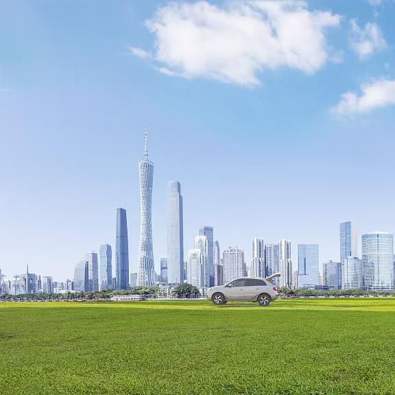 Awaken to Green Mobility: The Rise of NEVs in China