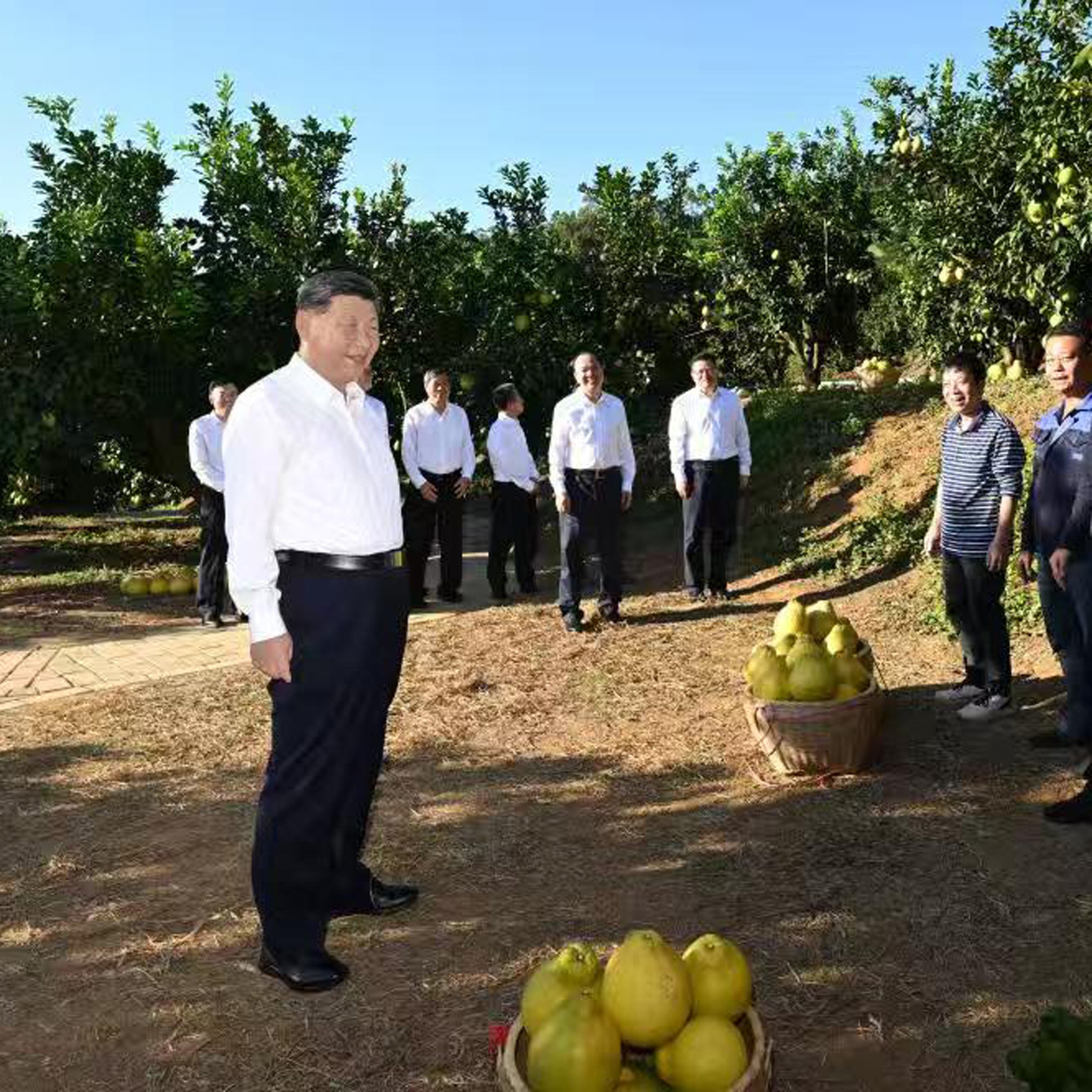 Xi inspects Meizhou, Guangdong Province