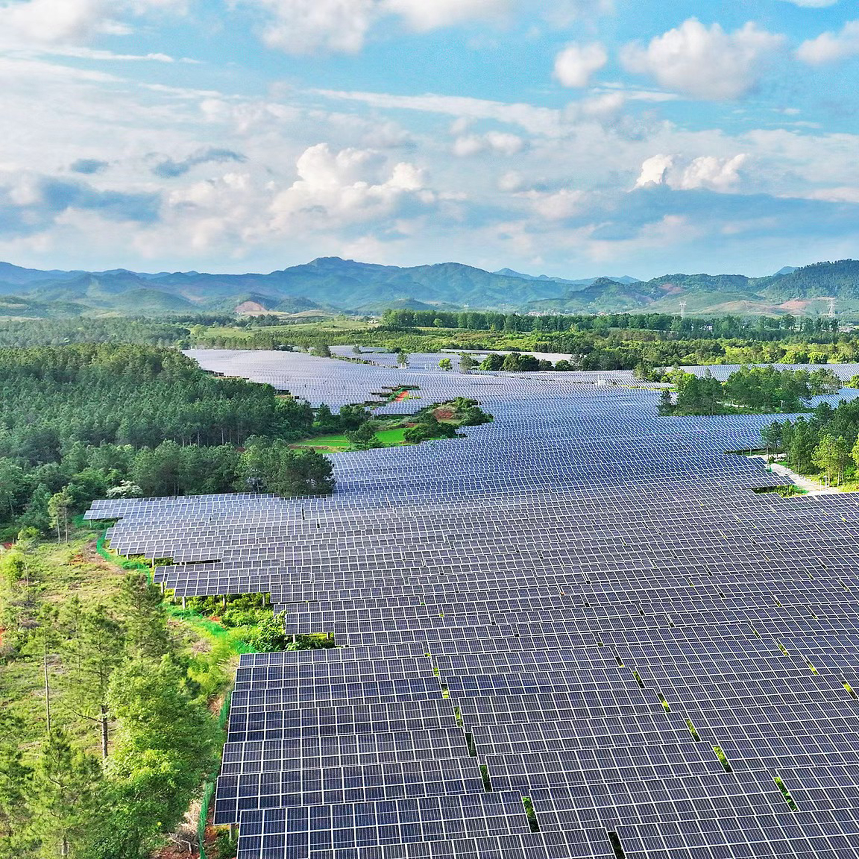 China releases white paper on low-carbon development