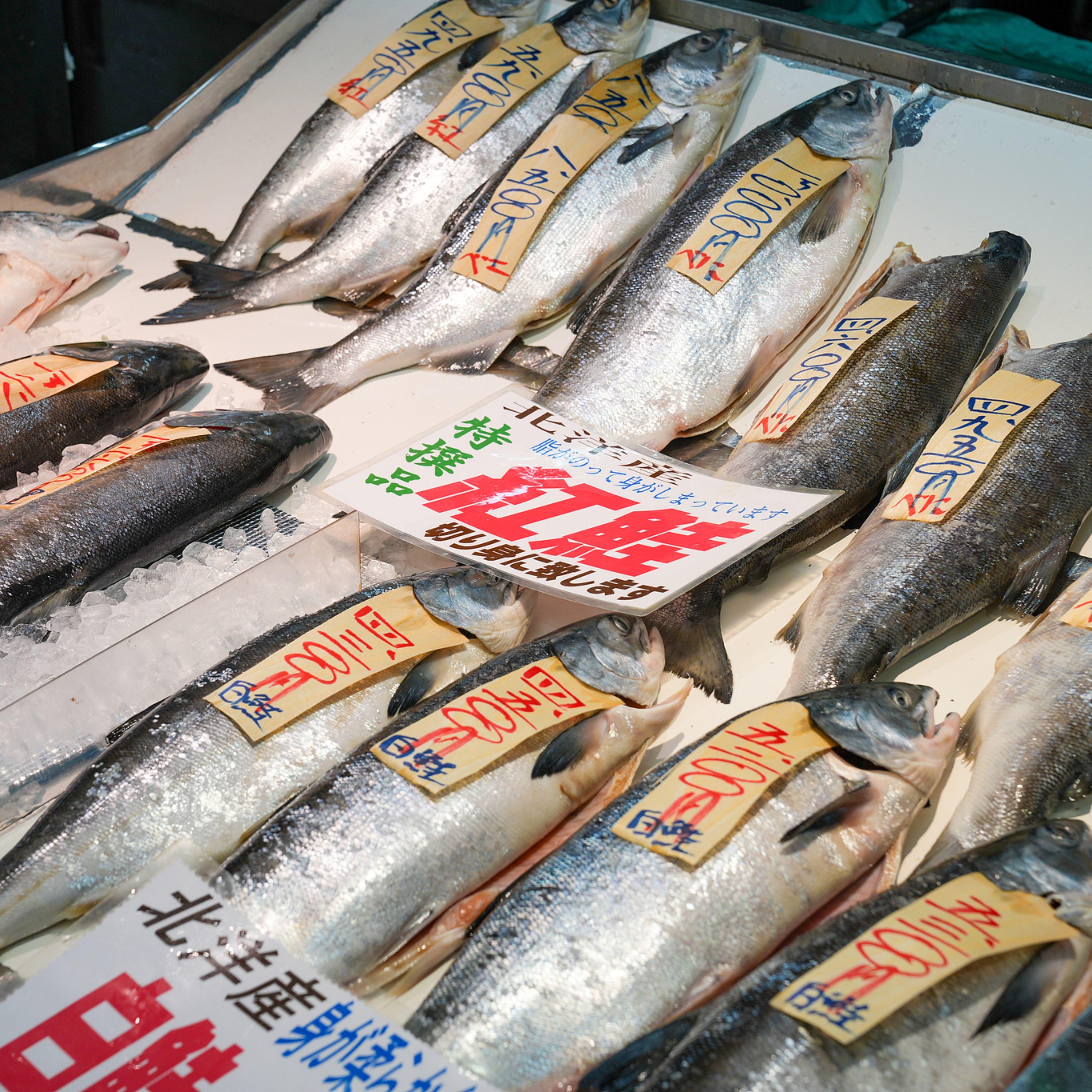 Concerns grow within Japan's aquaculture industry under strained relations with China