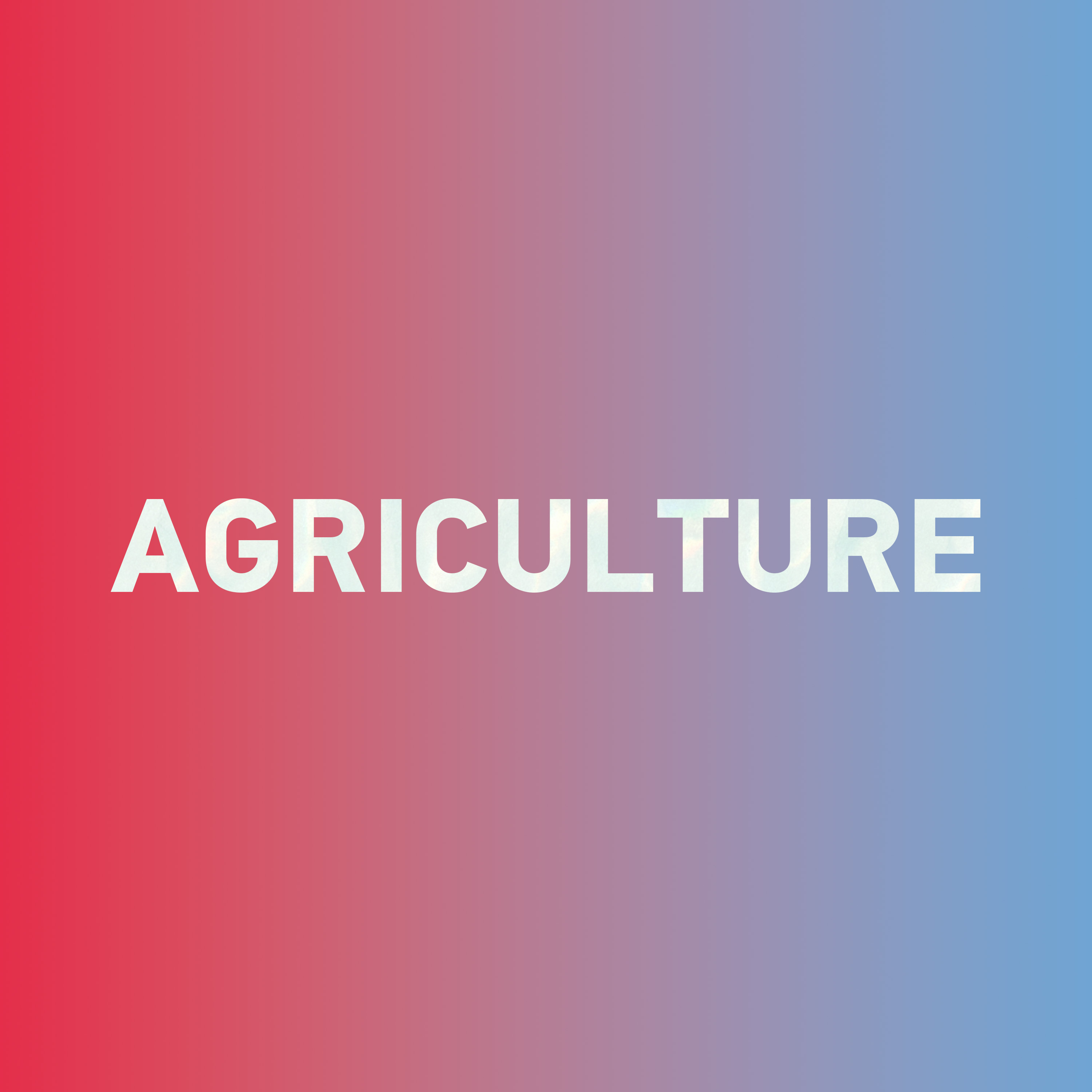 Special: How to say "agriculture 农业" in Chinese?
