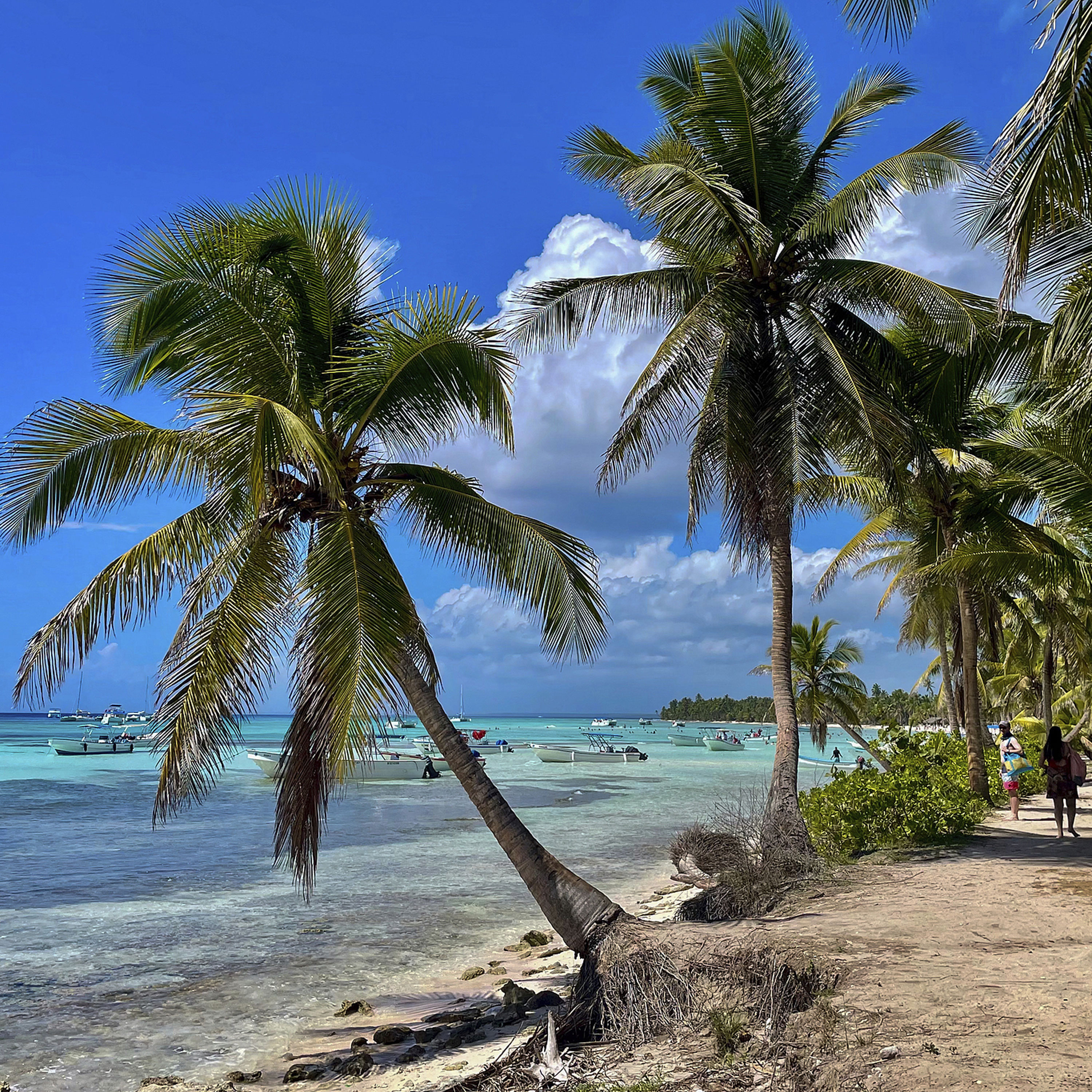 Latin America and the Caribbean important force within Global South, multipolar world: paper