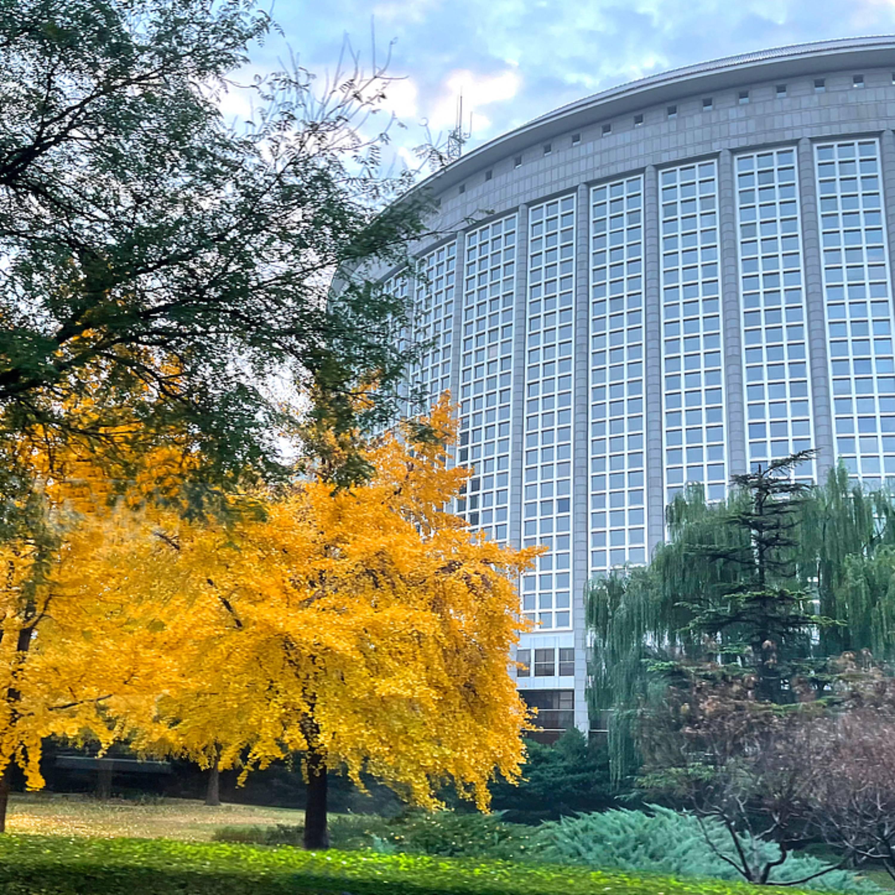 Chinese foreign minister holds phone calls with Cambodian, Thai counterparts