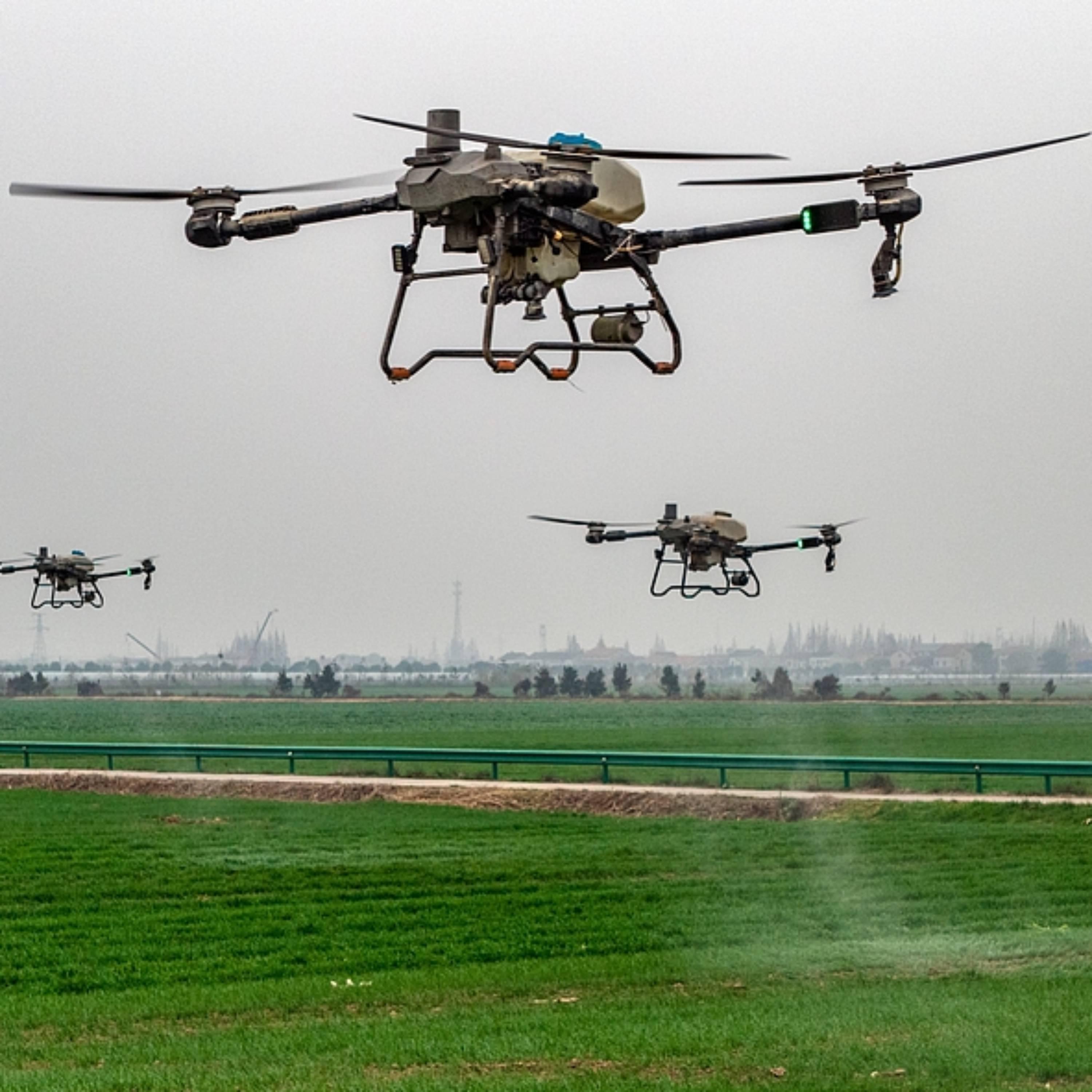 China's top policy paper highlights "regular, targeted assistance" in rural work