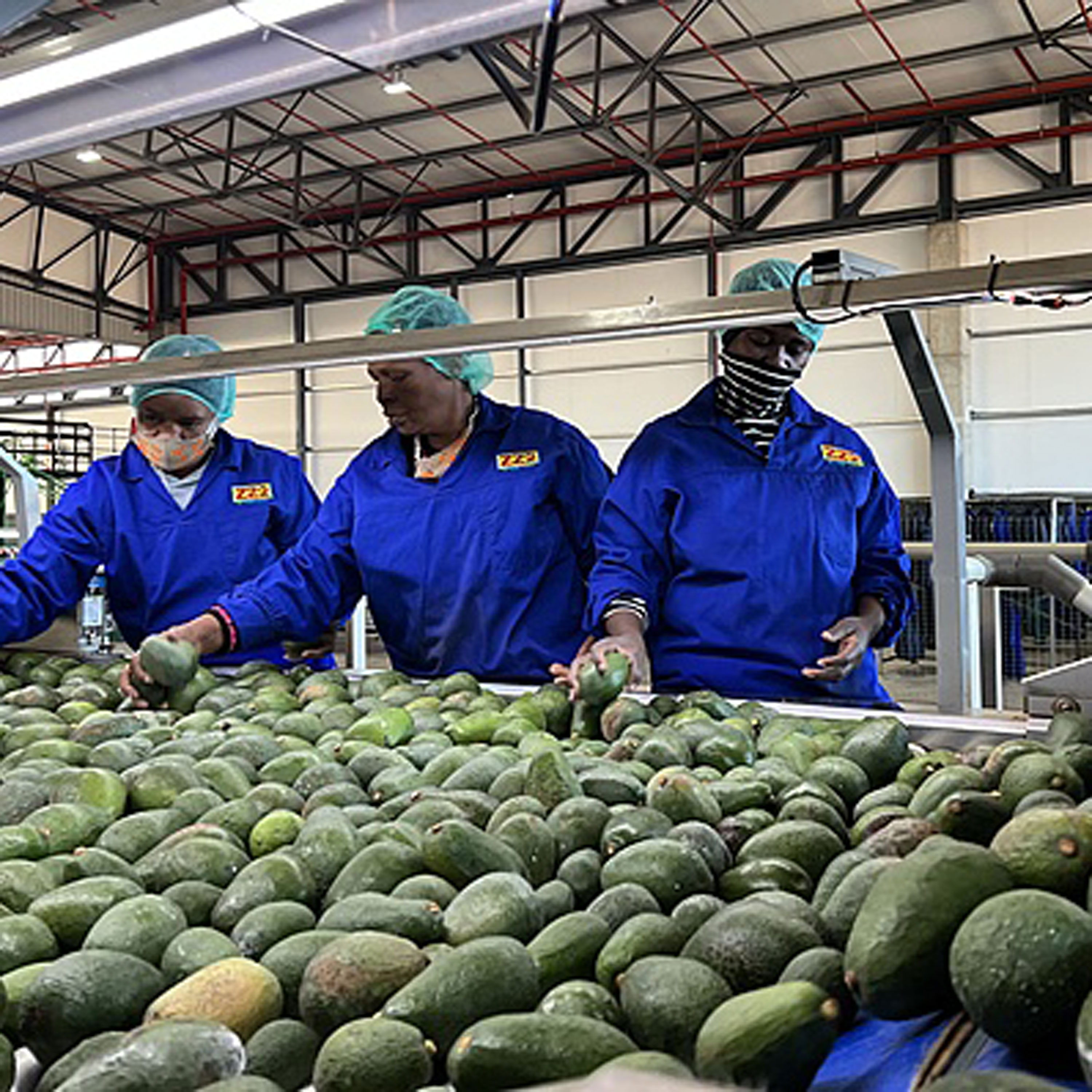 China to launch zero-tariff policy for 53 African countries on May 1