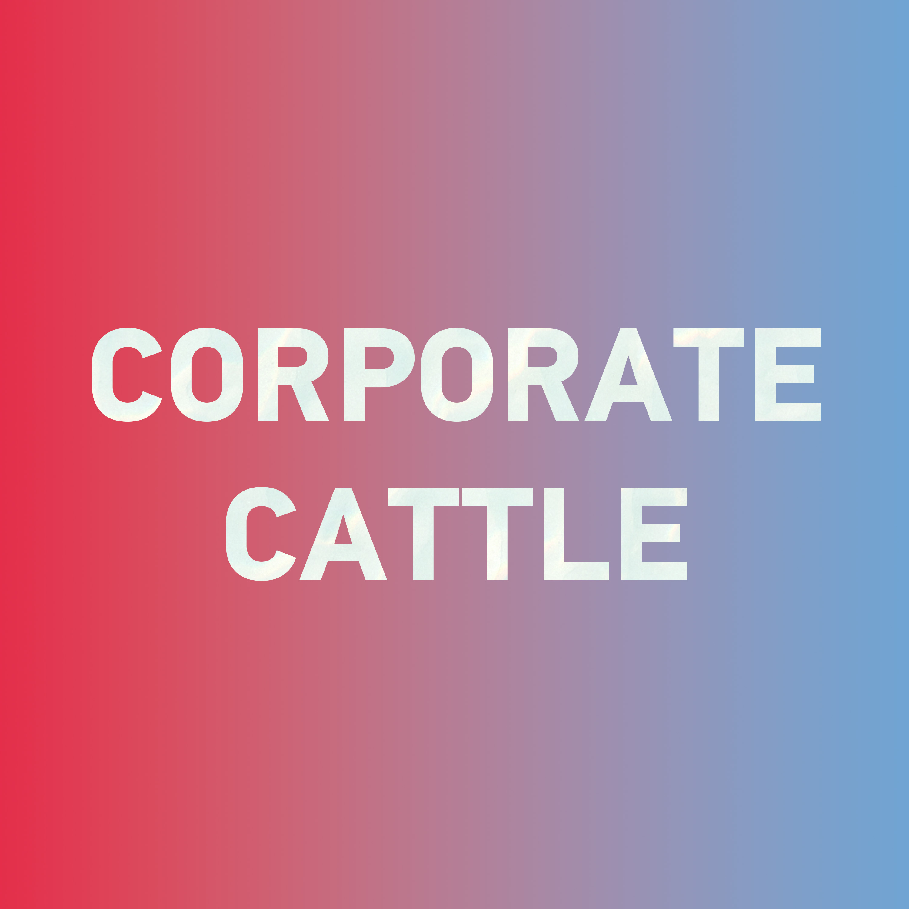Special: How to say "corporate cattle 牛马" in Chinese?