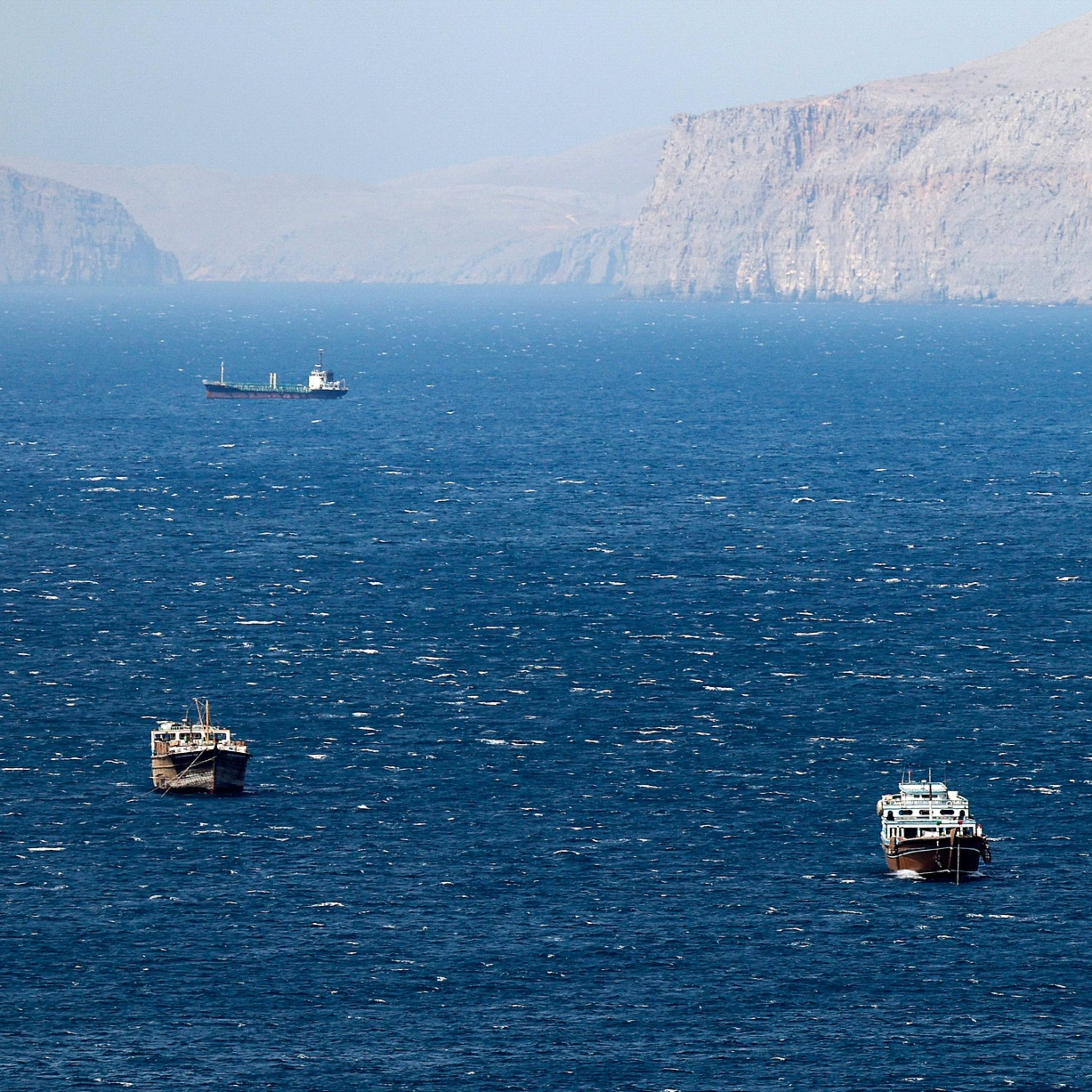 Iran ready to let Japanese vessels transit Hormuz: media