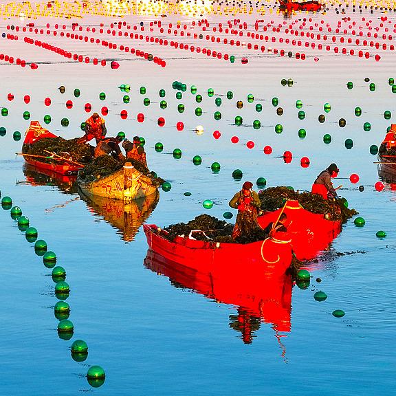 China's ocean economy at a turning point China's ocean economy at a turning point