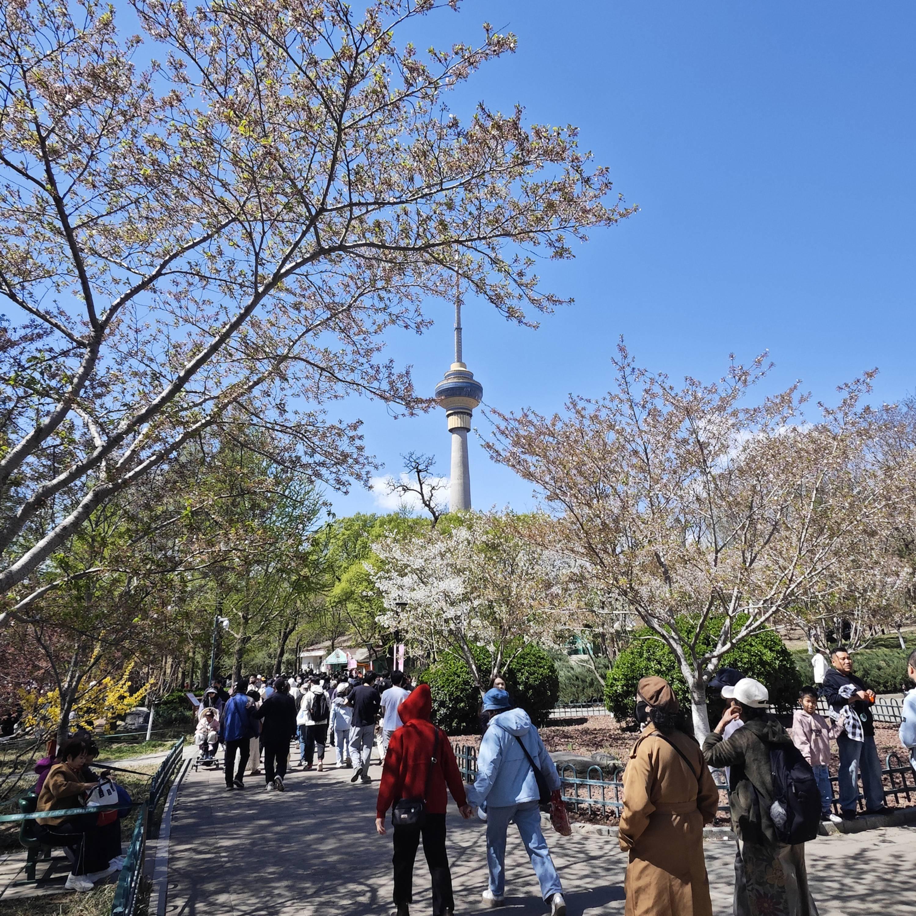 Qingming Festival holiday sees increased traveling, spending