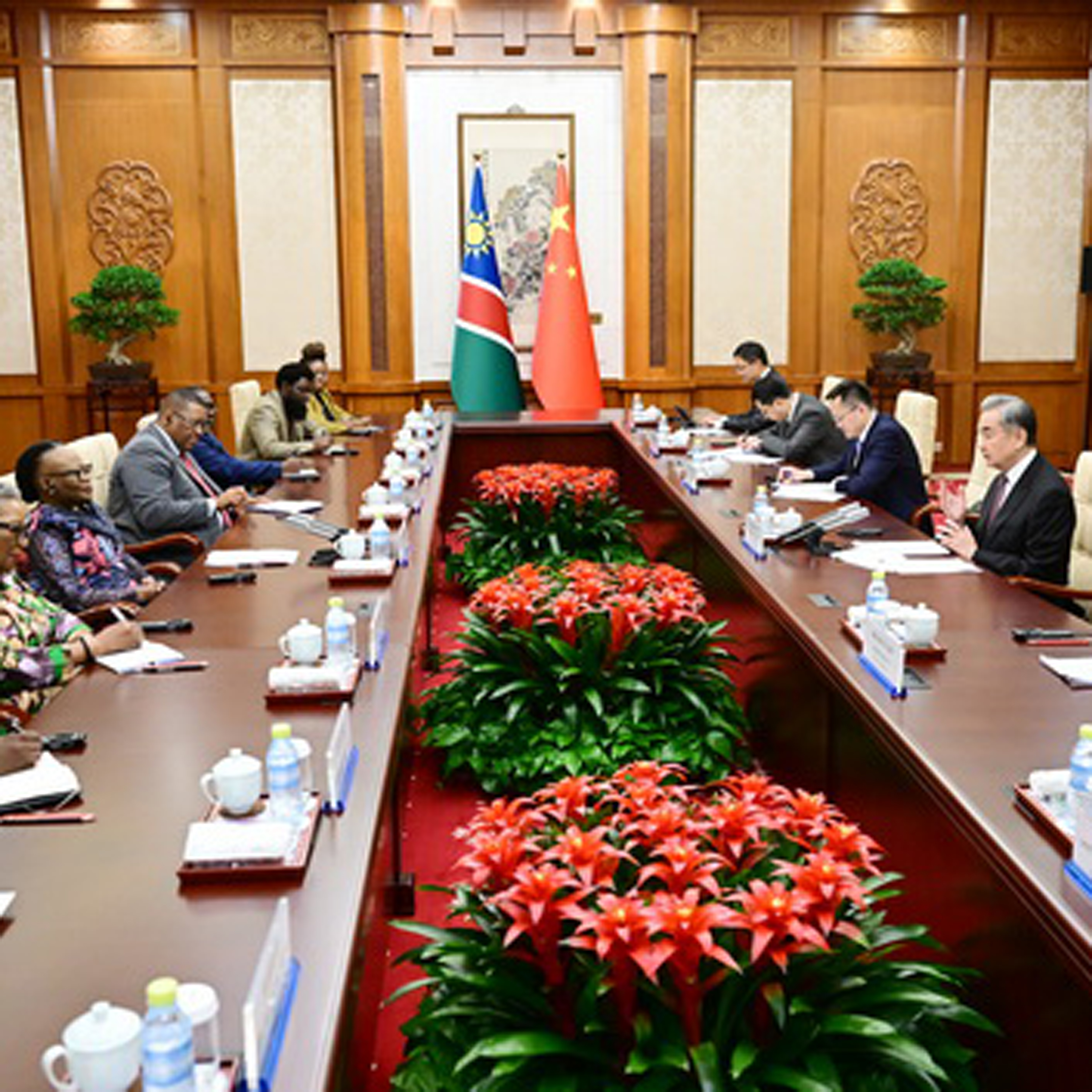 China, Namibia to further promote south-south cooperation