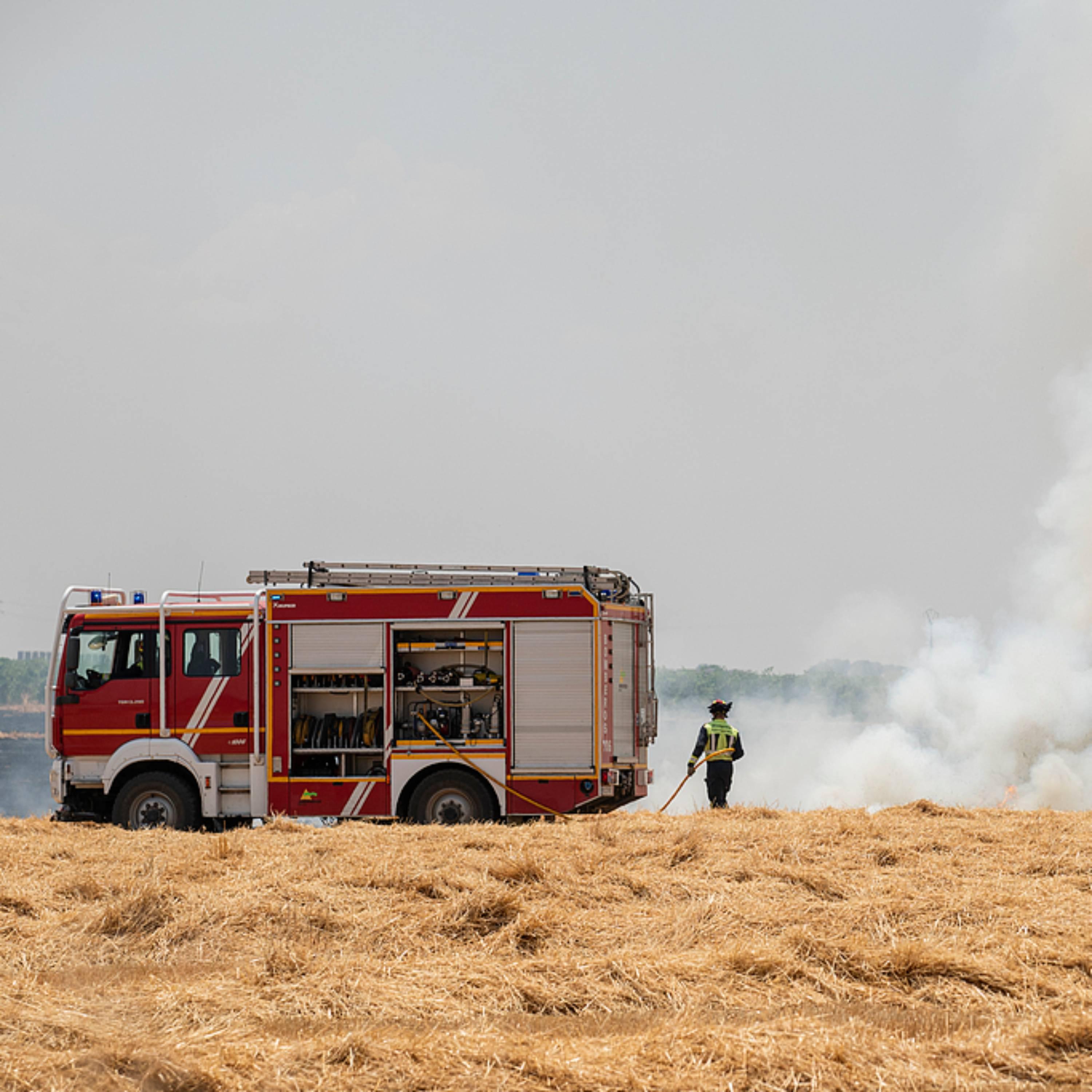 Extreme heat threatens global agrifood systems: UN report