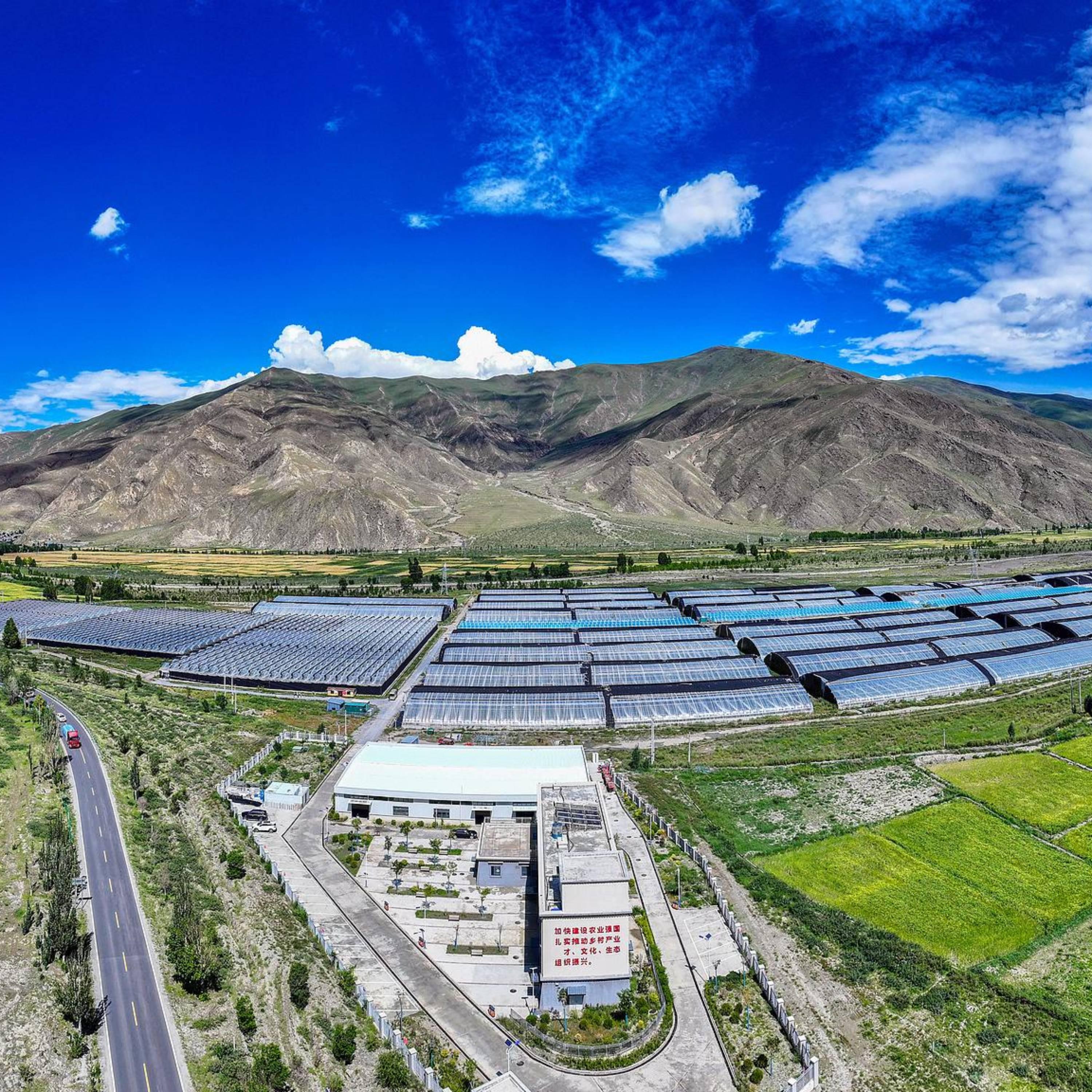 Xizang makes progress in infrastructure, ecology after 75 years of peaceful development