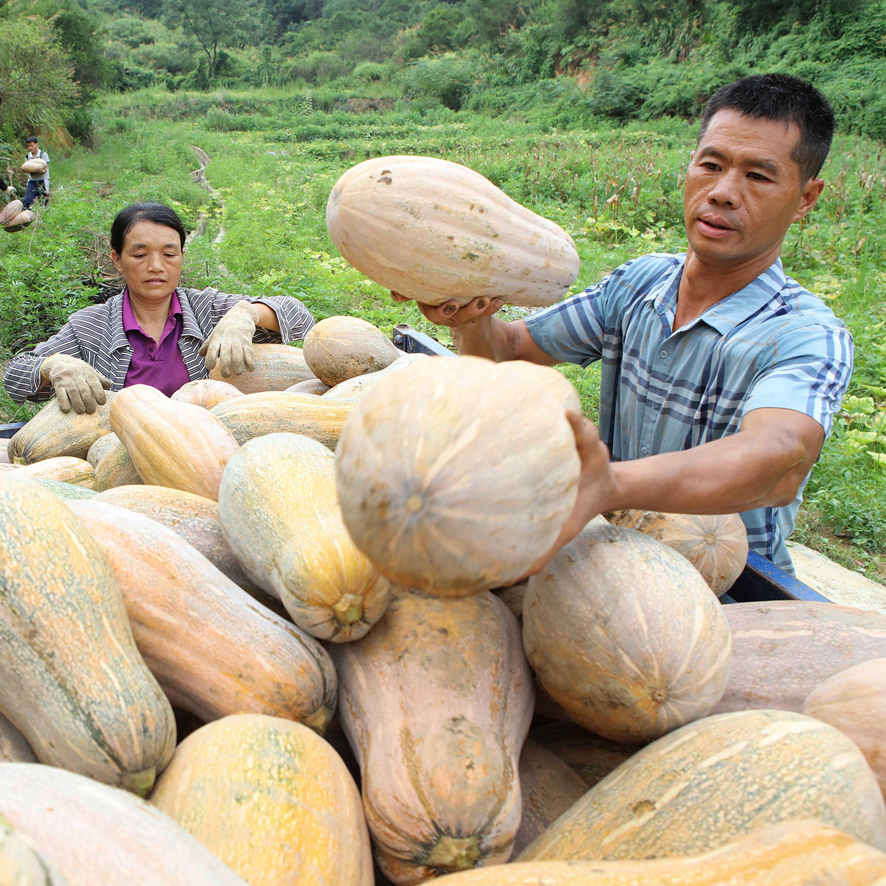 Global partnership launched in Beijing to fight poverty, promote development