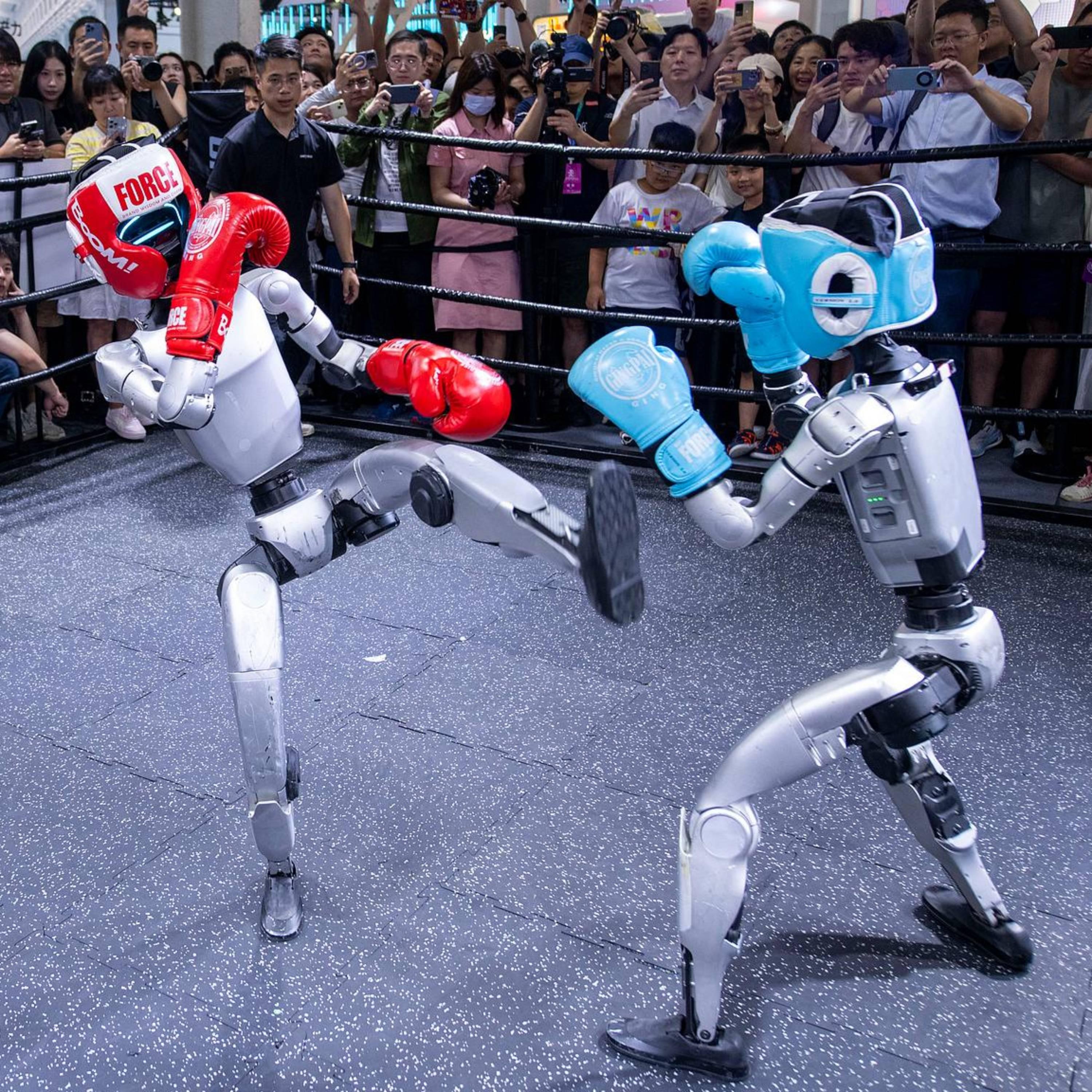 China's Unitree Robotics clears STAR Market listing review